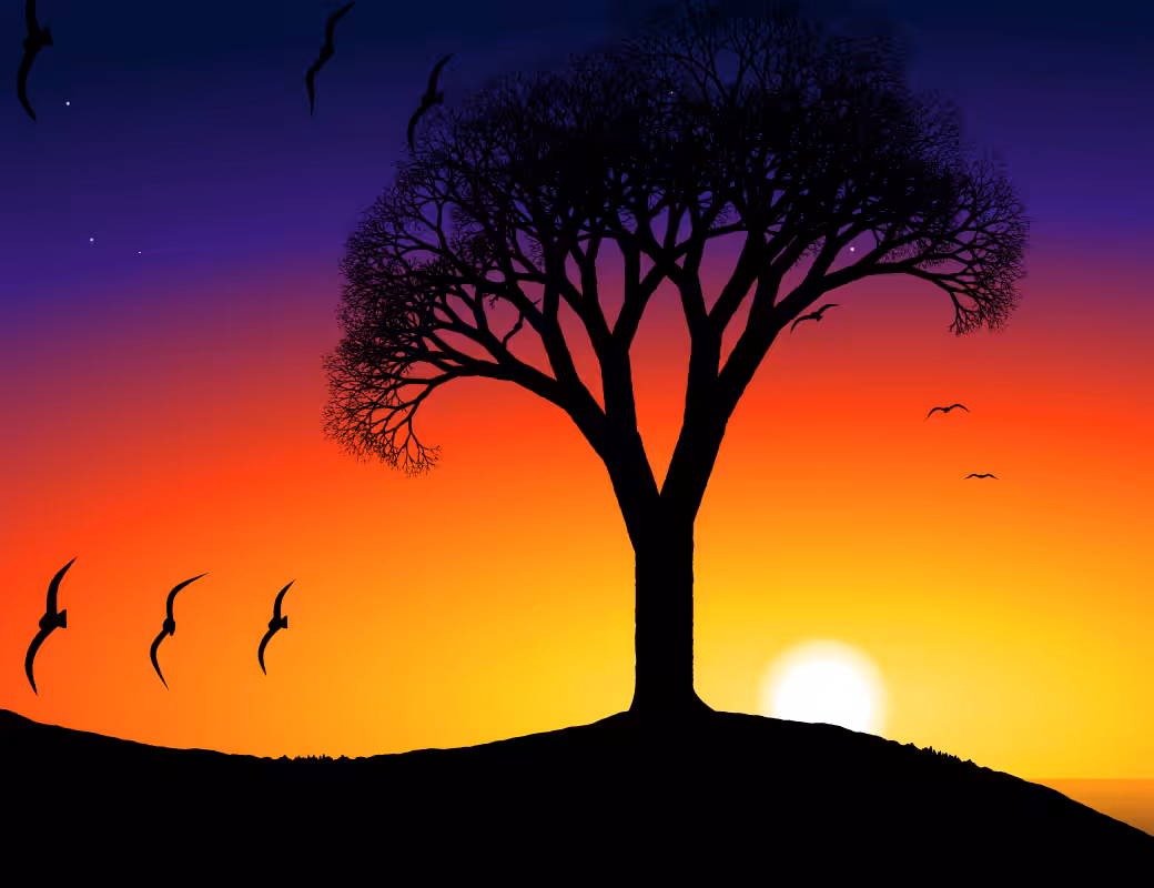 This Tree #17