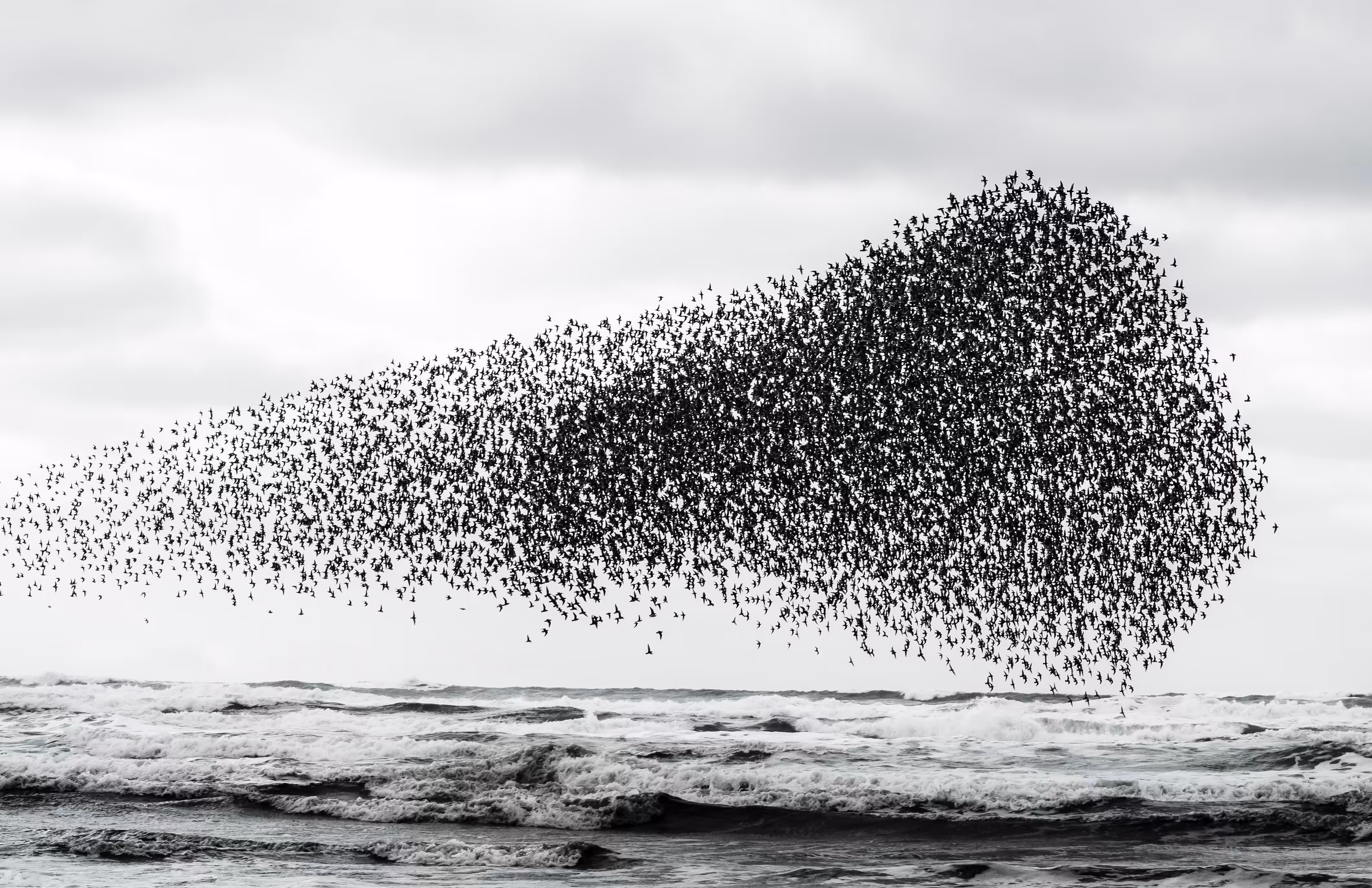 Together in Flight