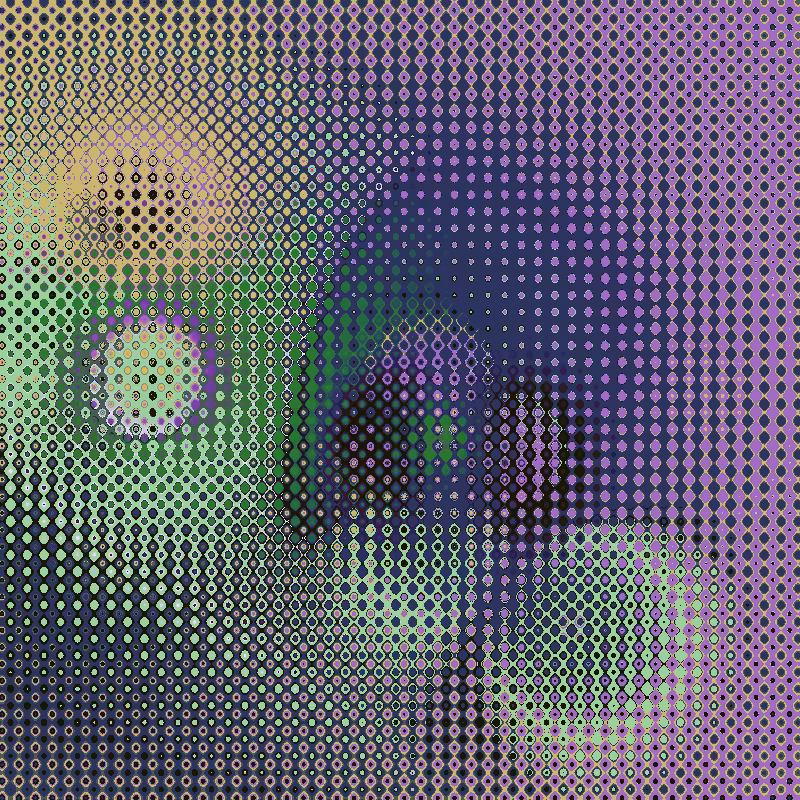 Focus #49
