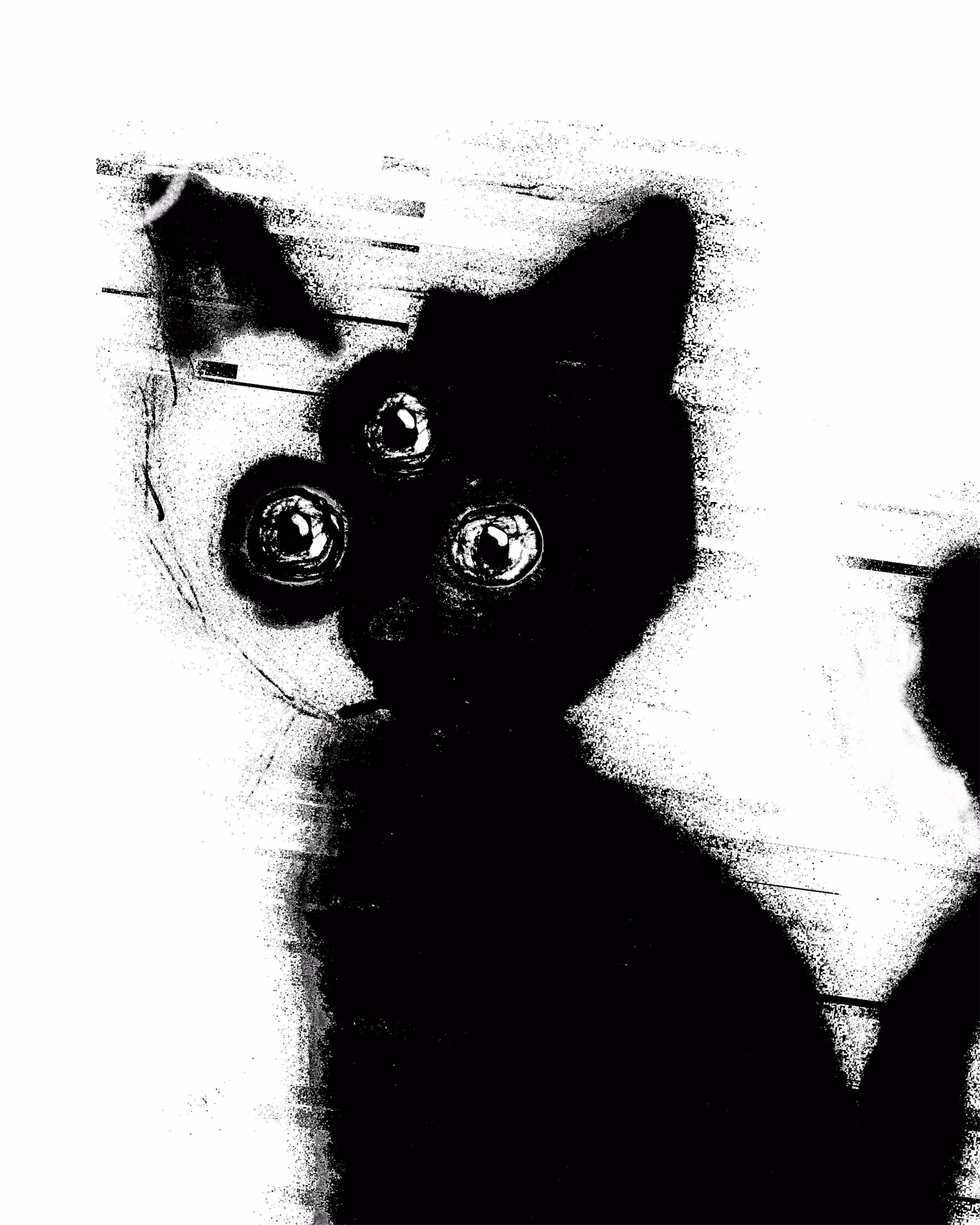 three eyes, nine lives