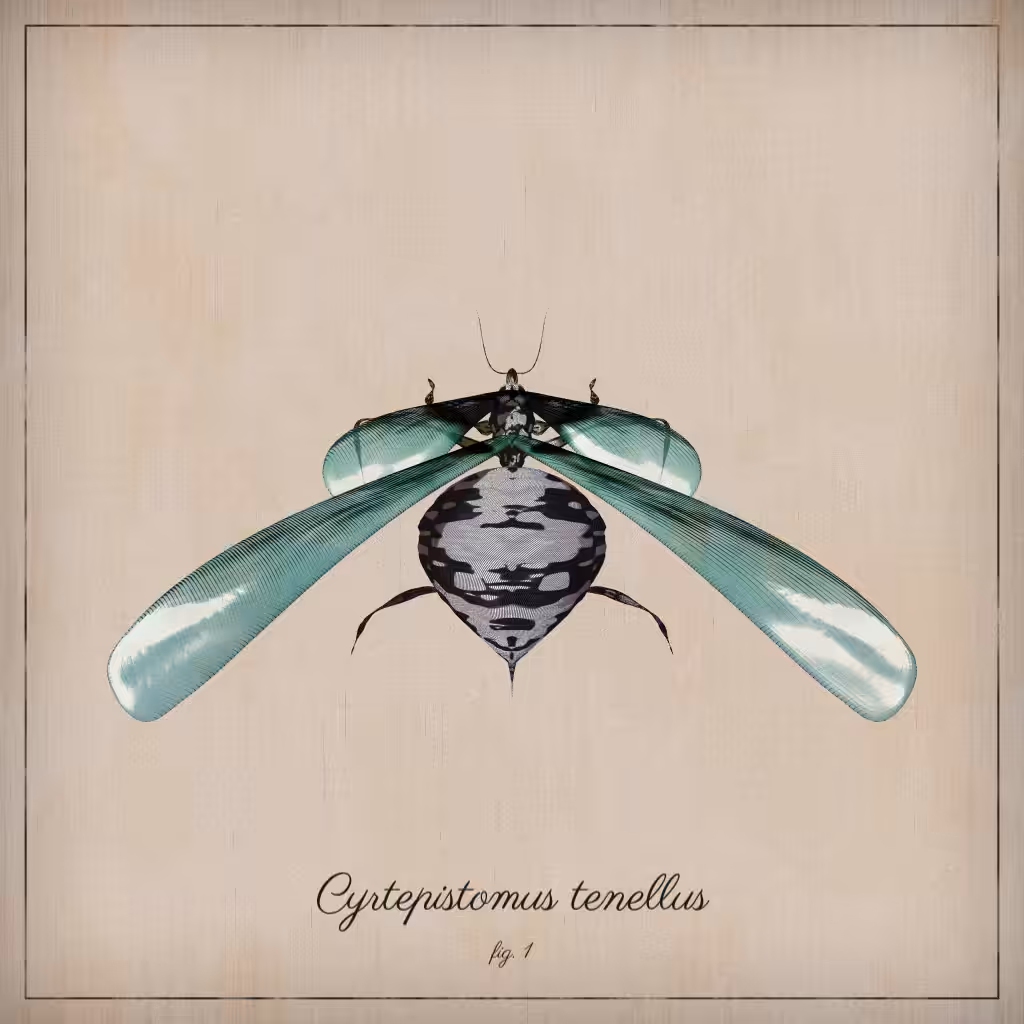 ProcGen Entomology #152