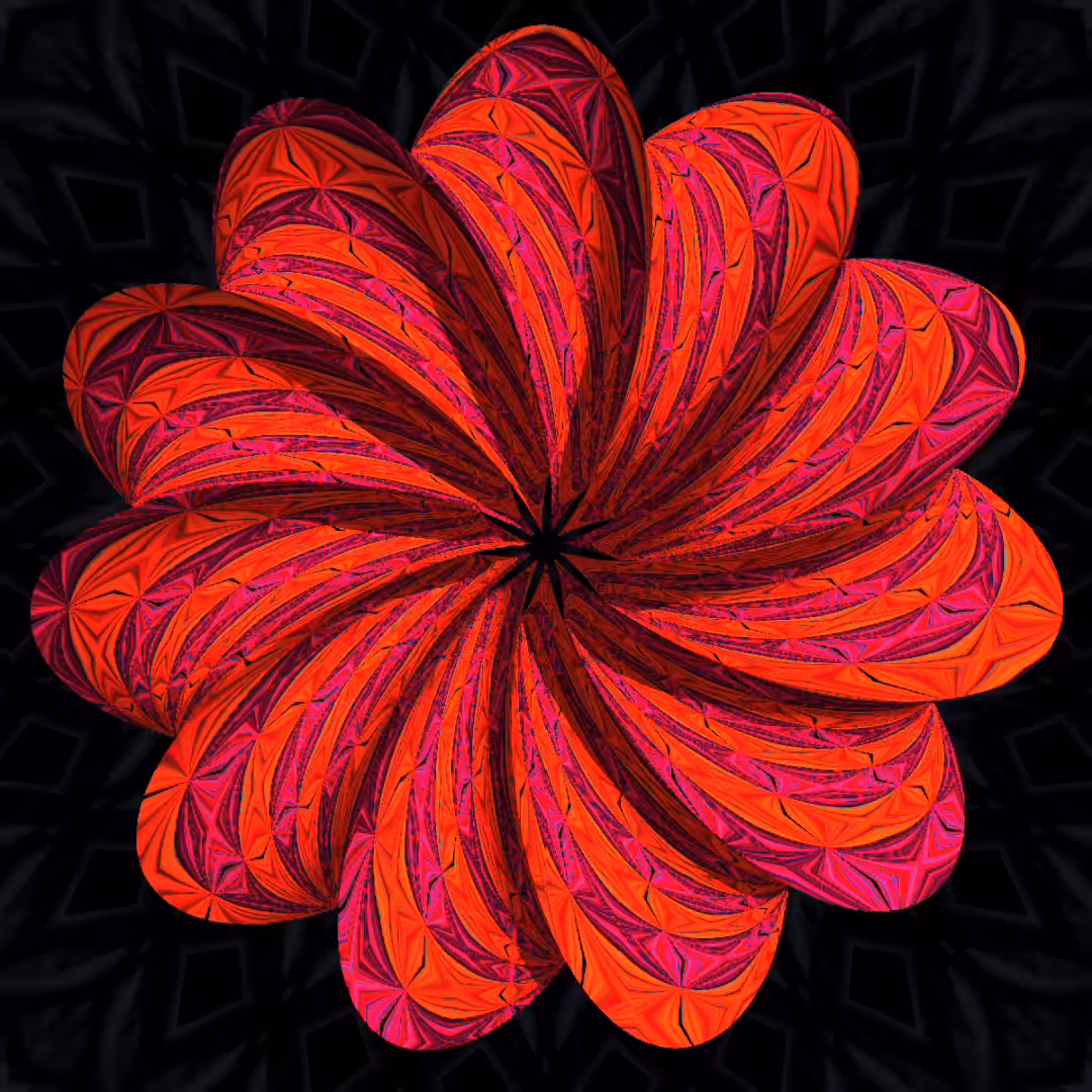 Orange G Maroon C Harmony