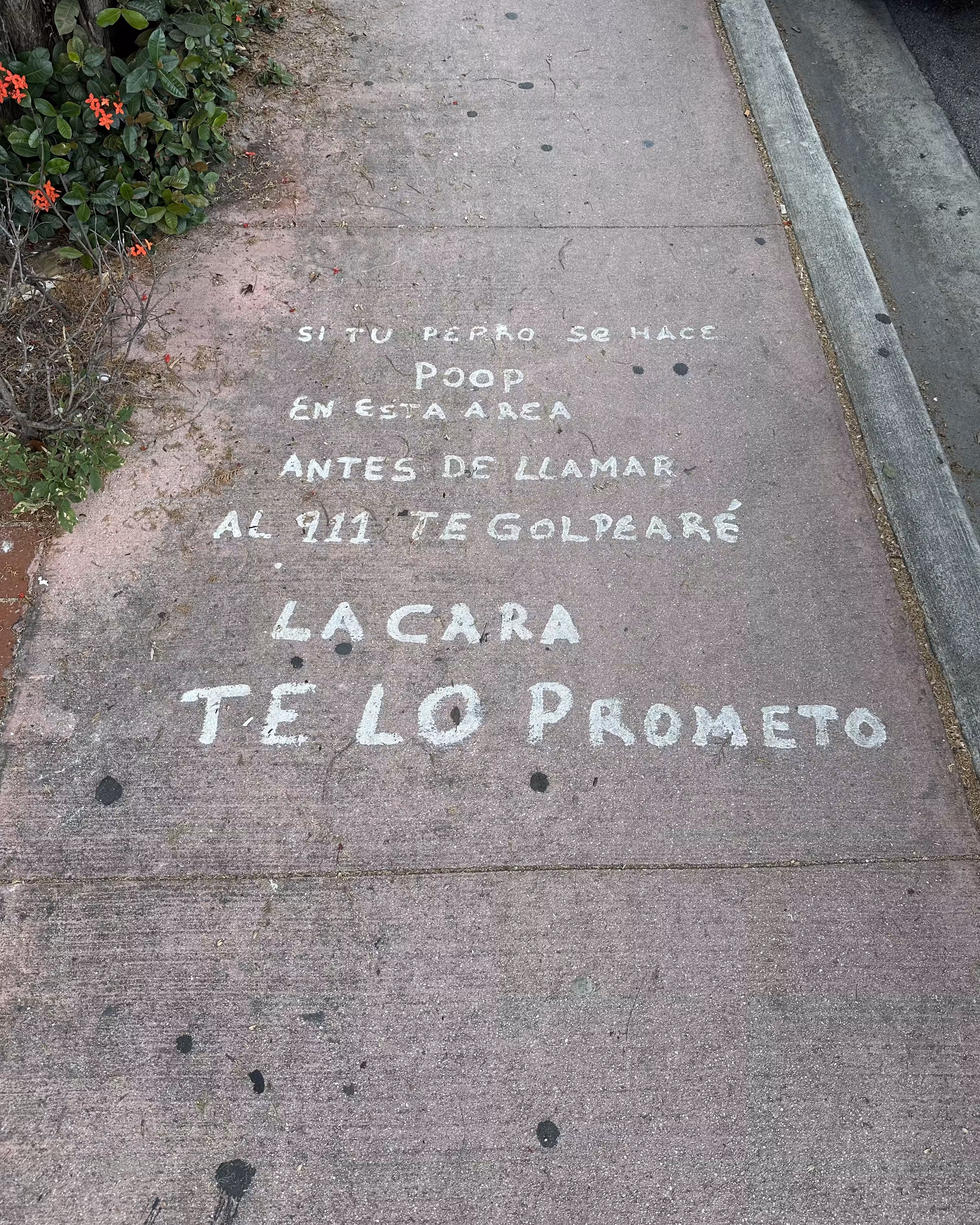 TE LO PROMETO
