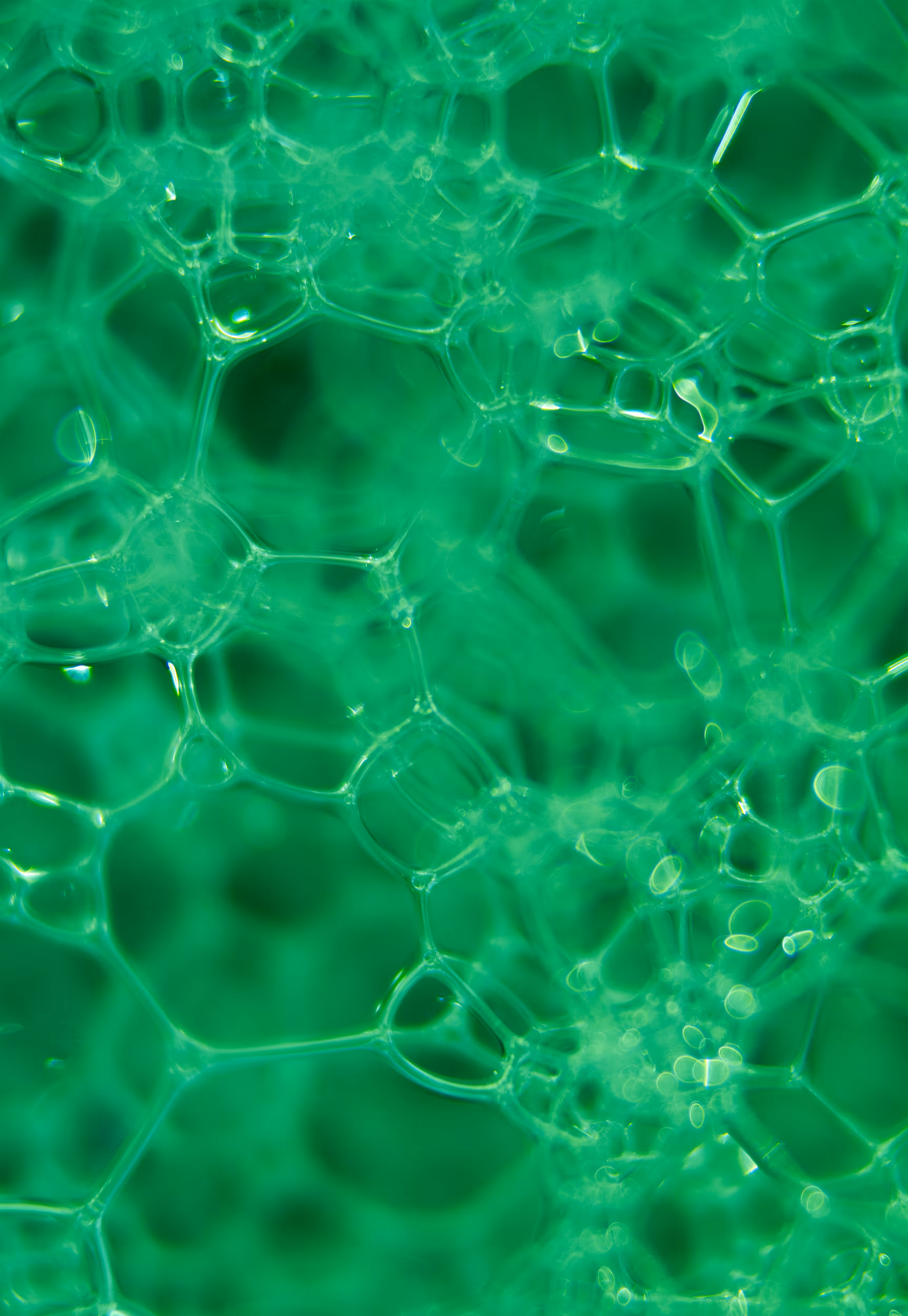 #55 Bubbles