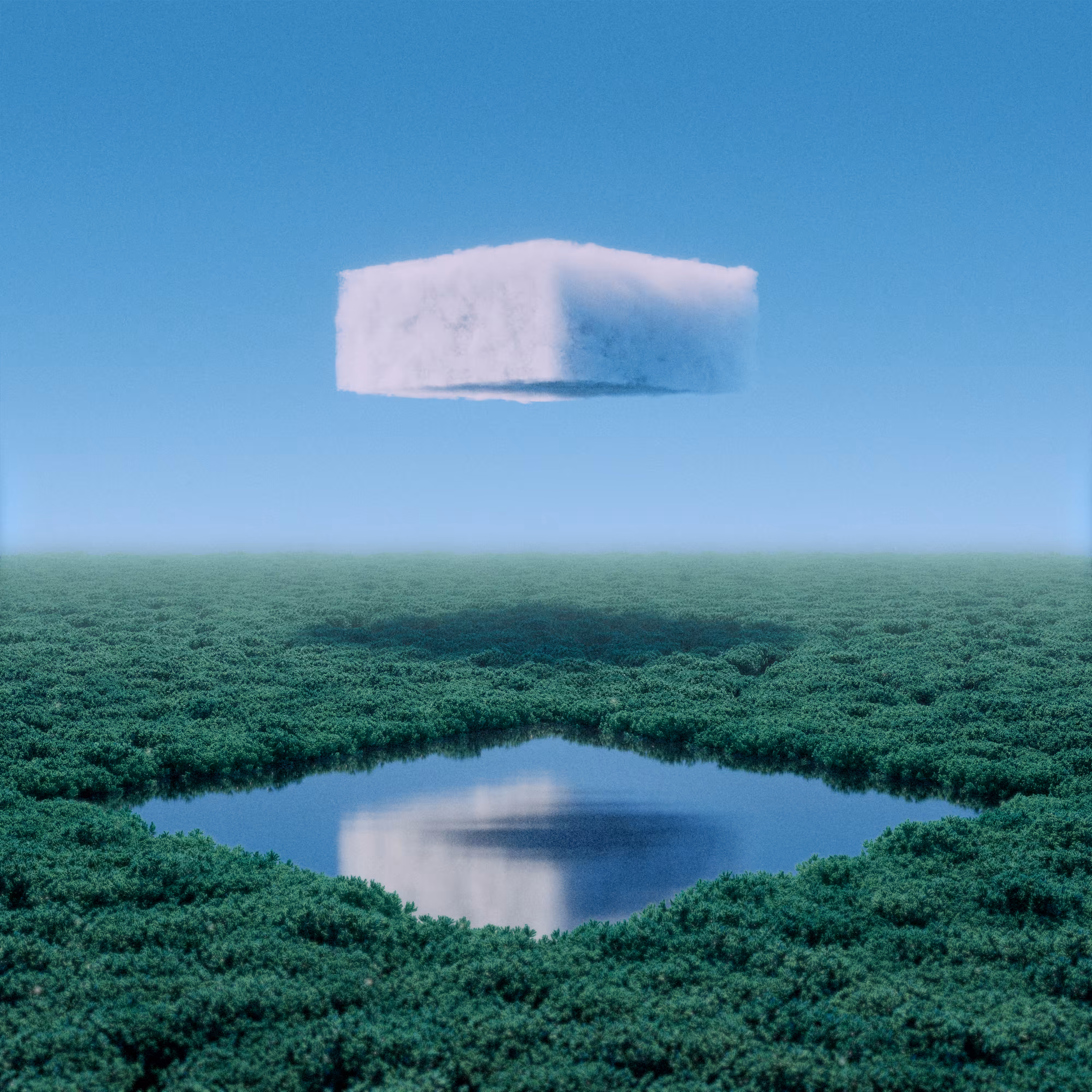 Forest Cube #3/10