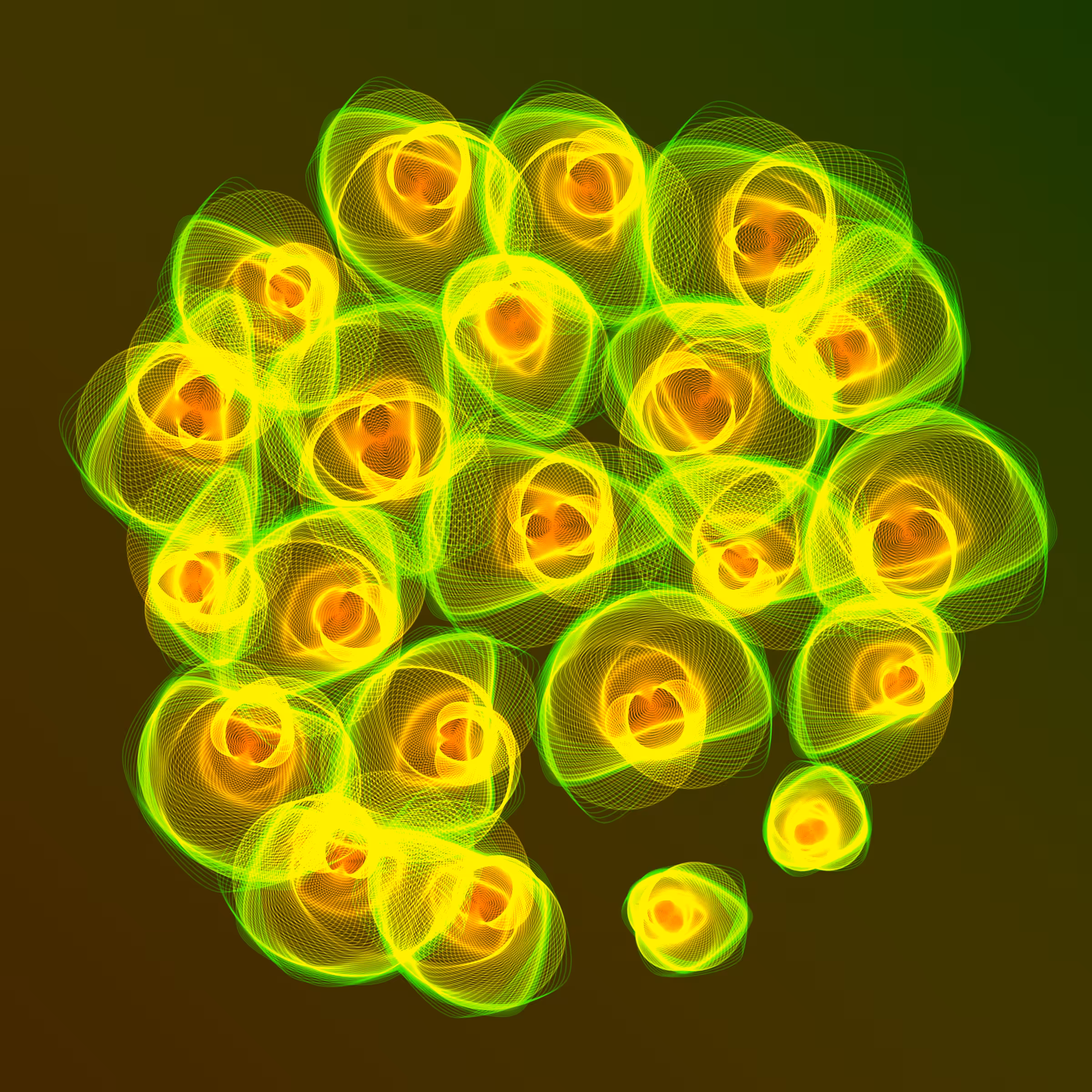 Flowers #248