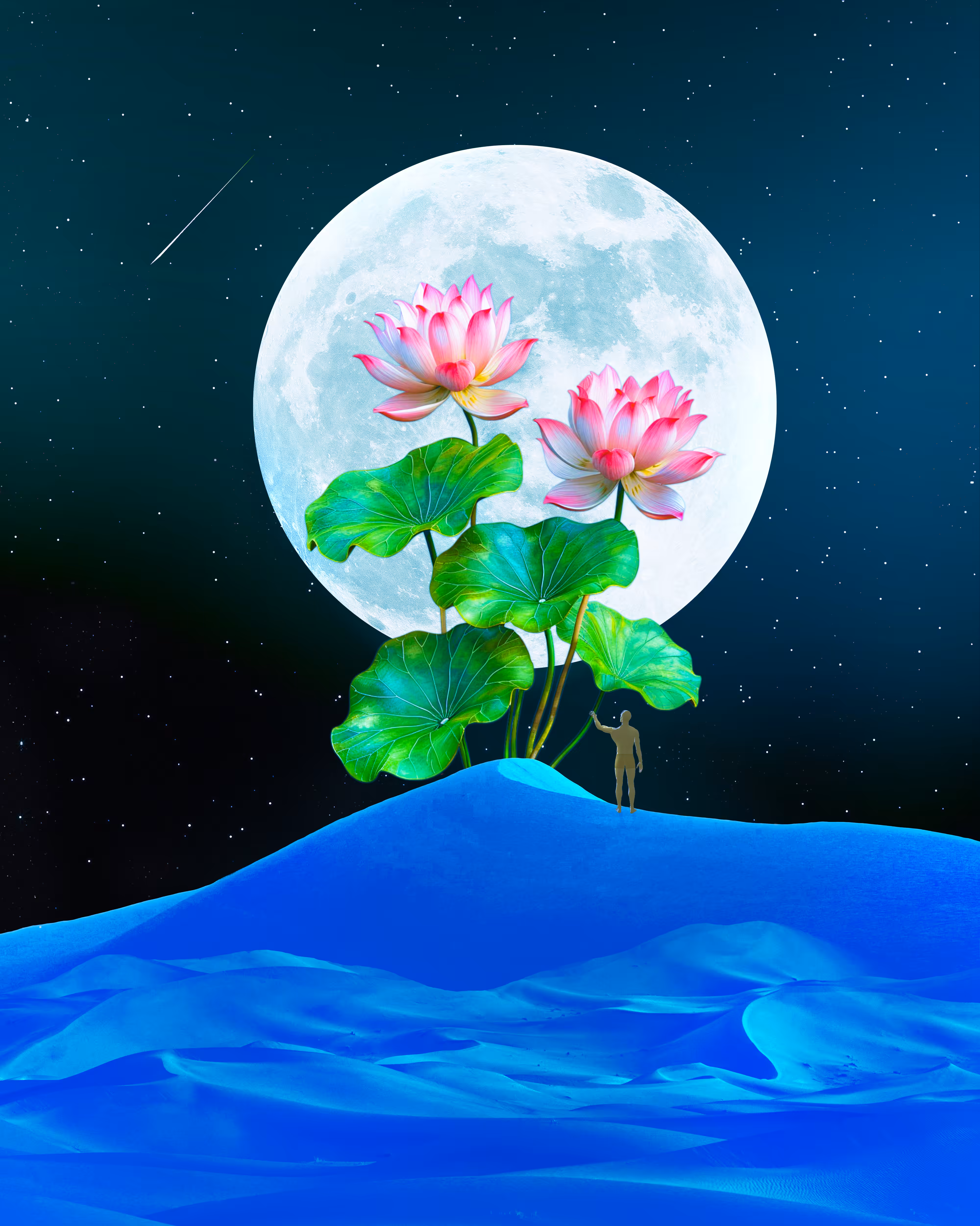 Silent Wish