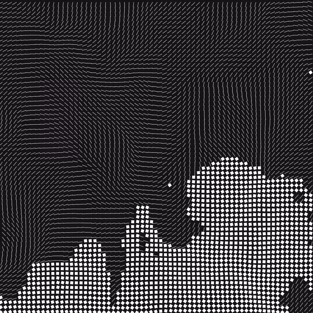 Geometric Fluidity #906