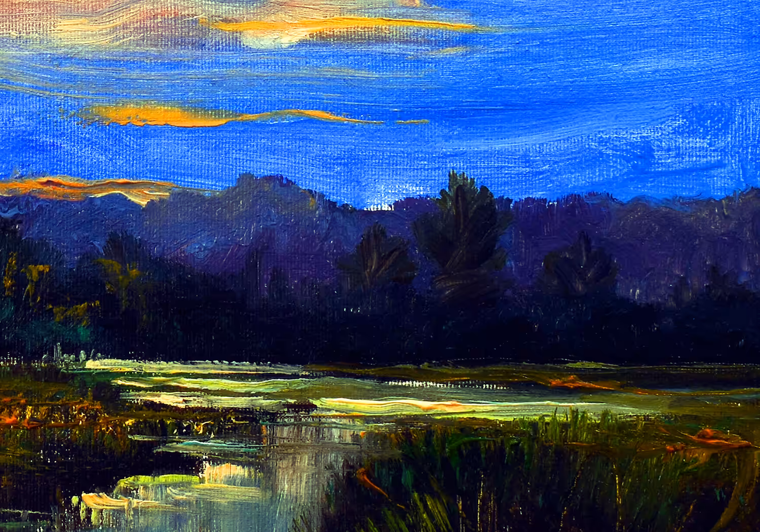 Wetlands