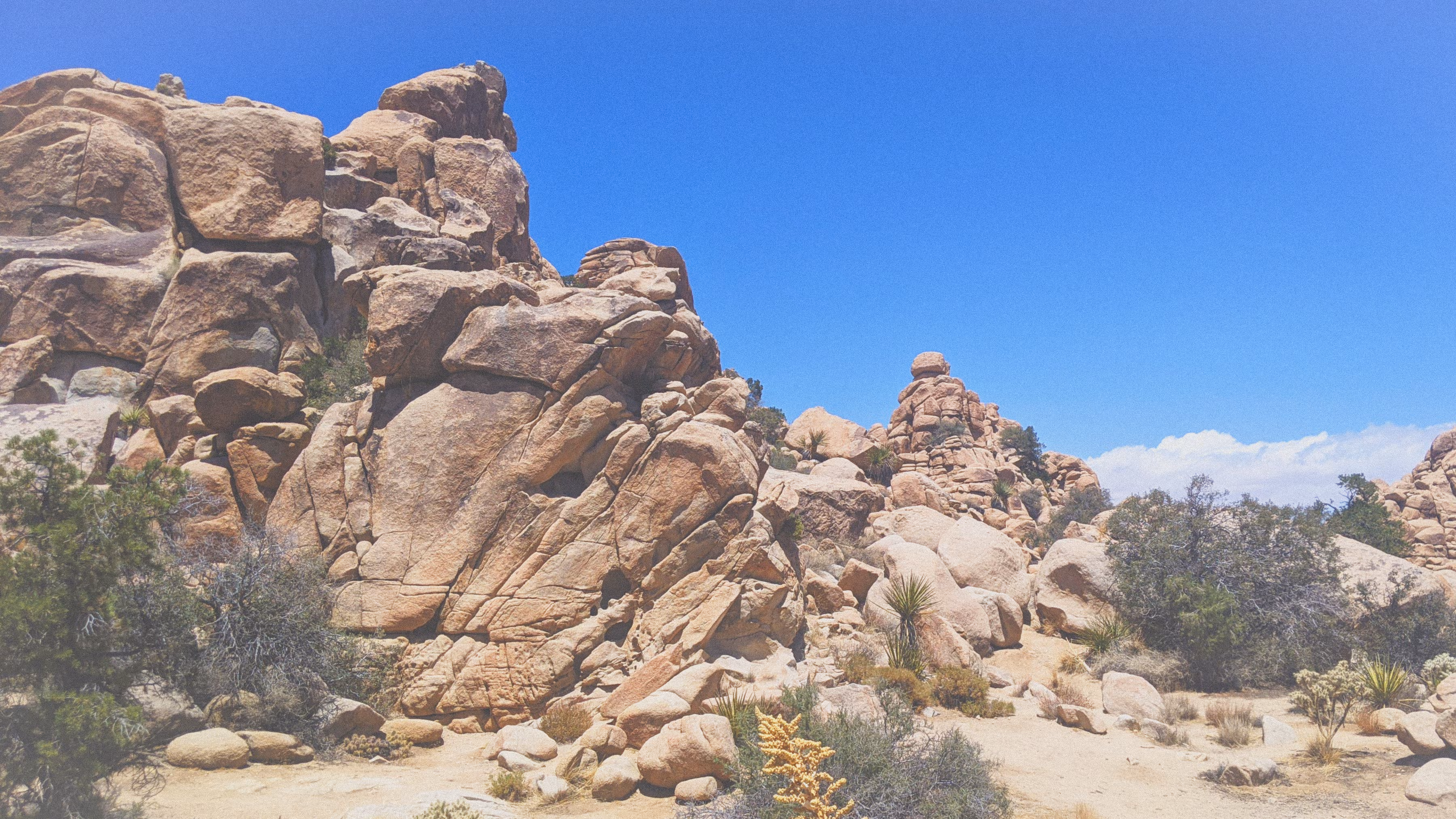 Desert