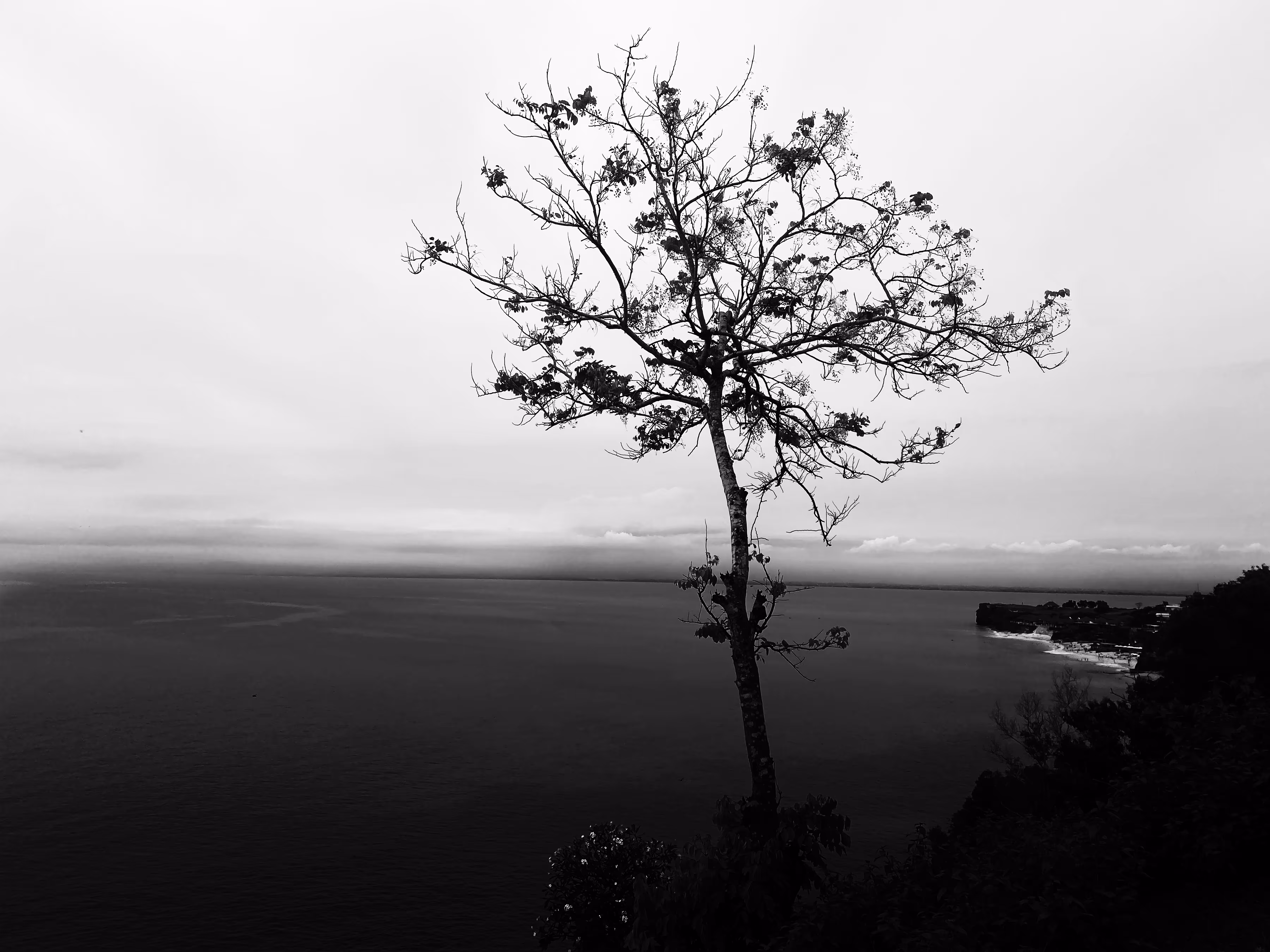 50/50: loneliness
