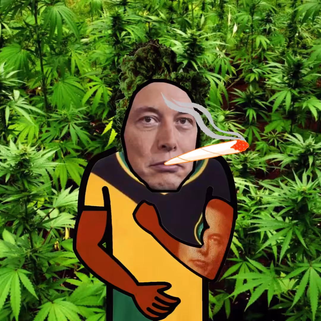 HASHMUSK #161