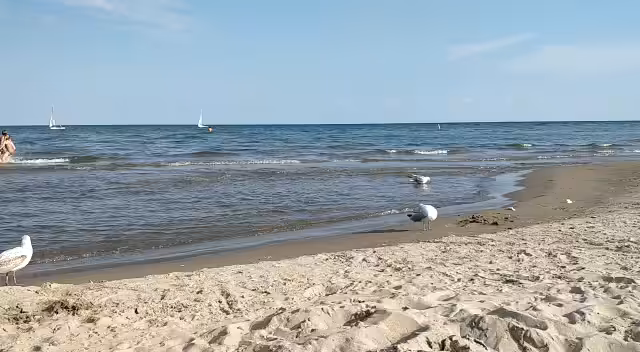 Lake Beach - Hic Et traNquillitas