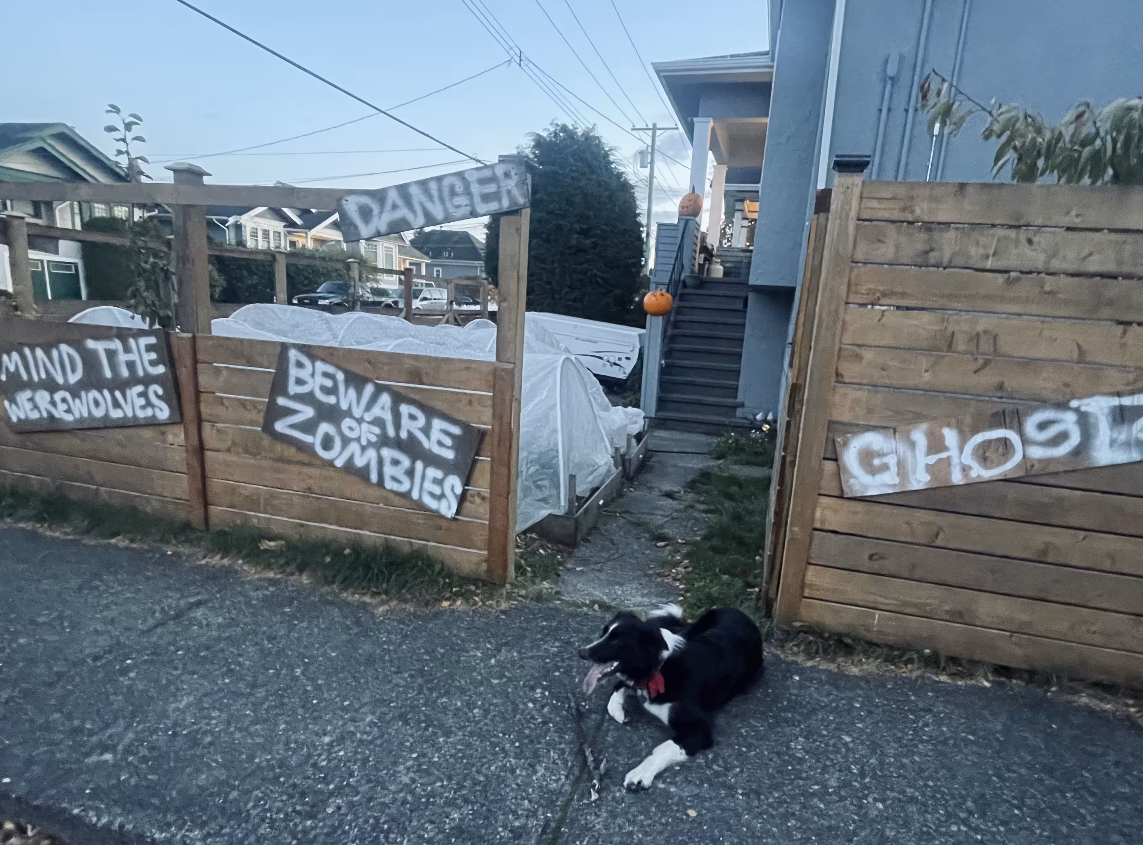 Halloween 2023