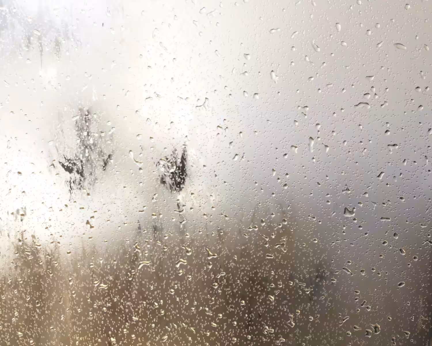 Rain at window