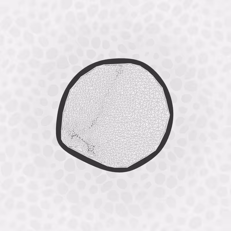 Protista #15