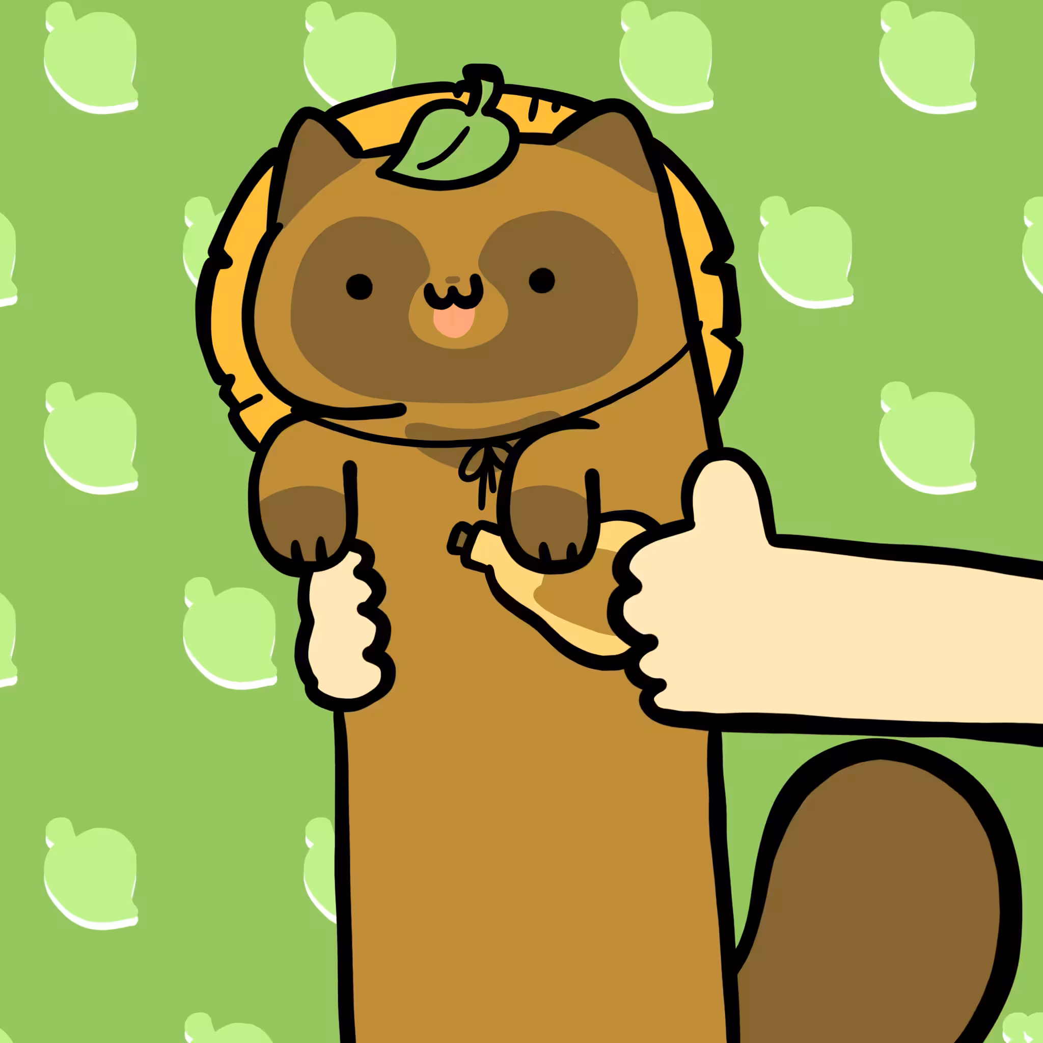 Long Long Raccoon Cat #0151