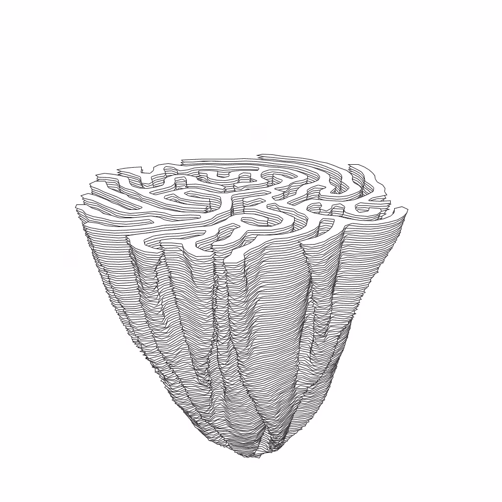 LL21 Differential Growth #11