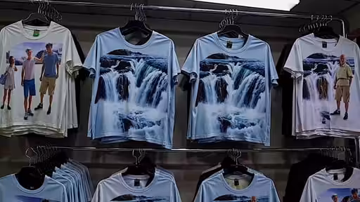 the falls