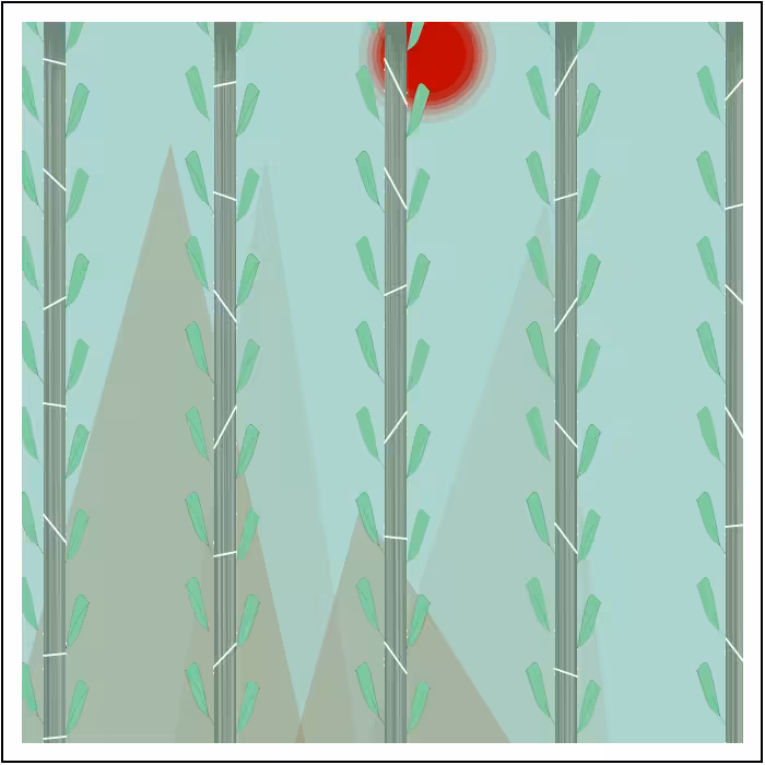 Bamboo in Wind #3
