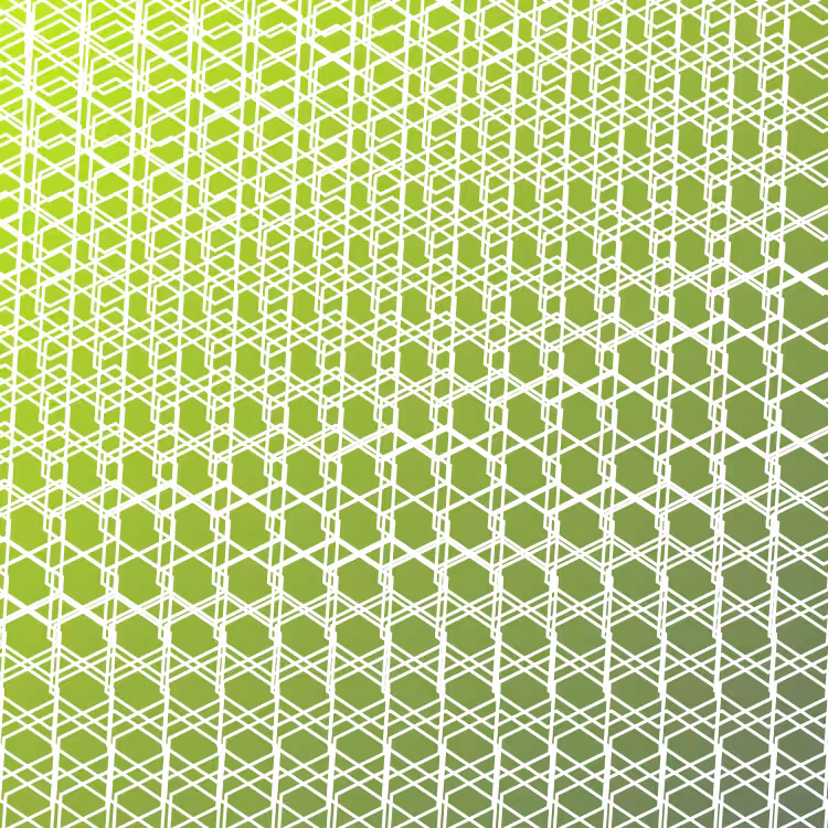 bilinearInterpolationTwist #41