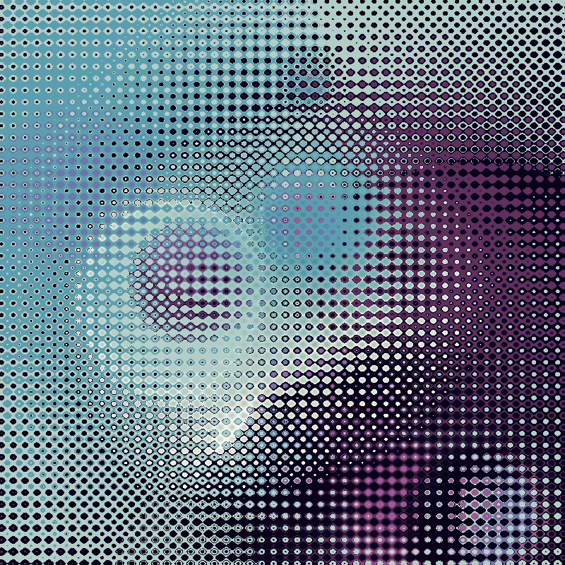 Focus #5