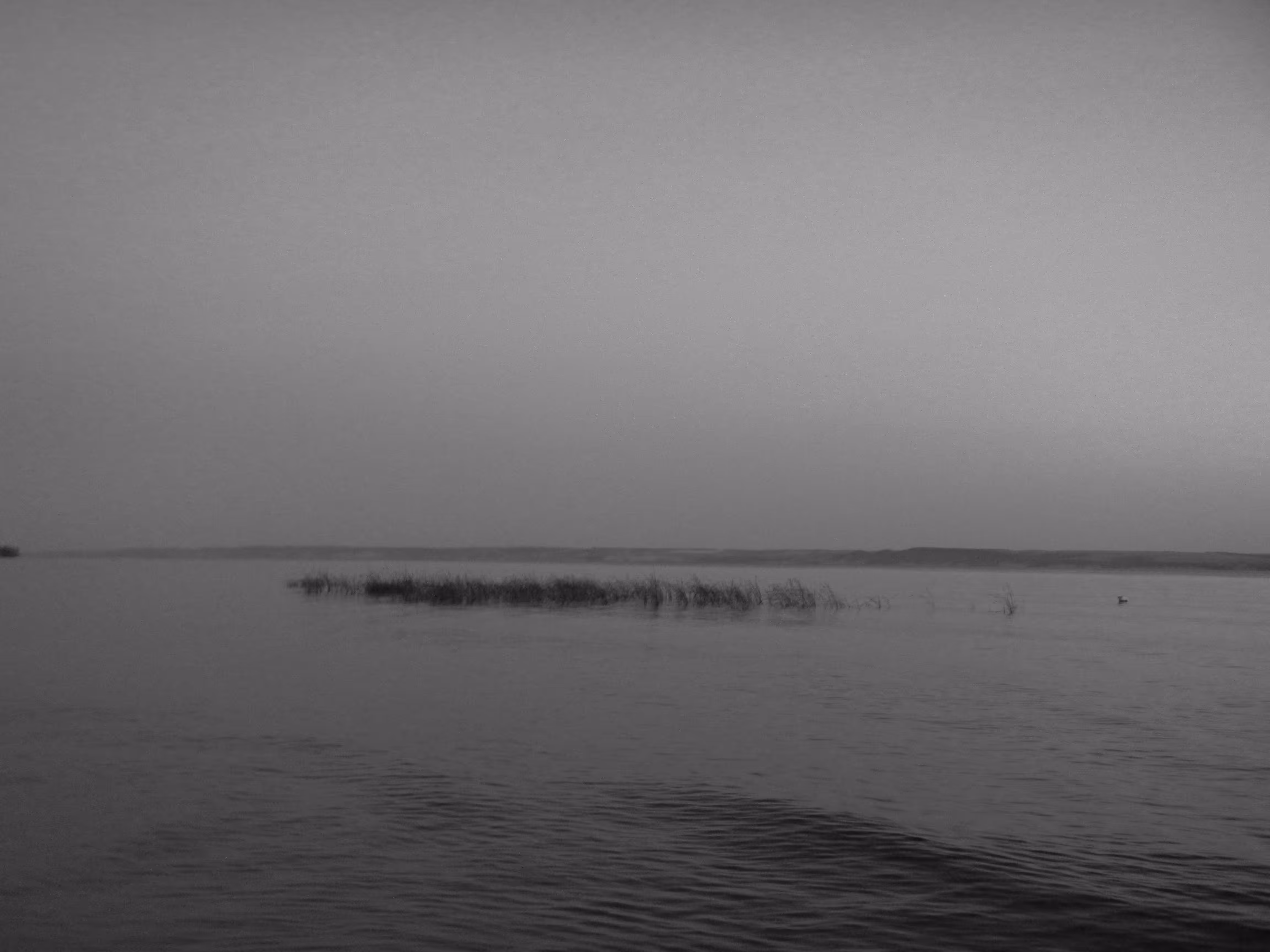 Silence