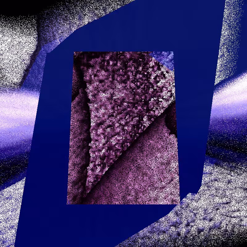 bits #6