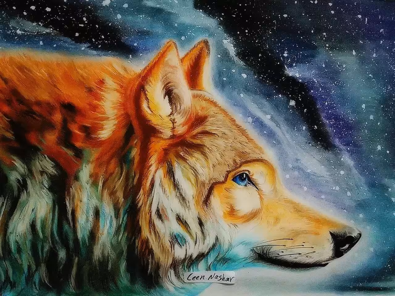 Lone wolf - Pencil Drawing