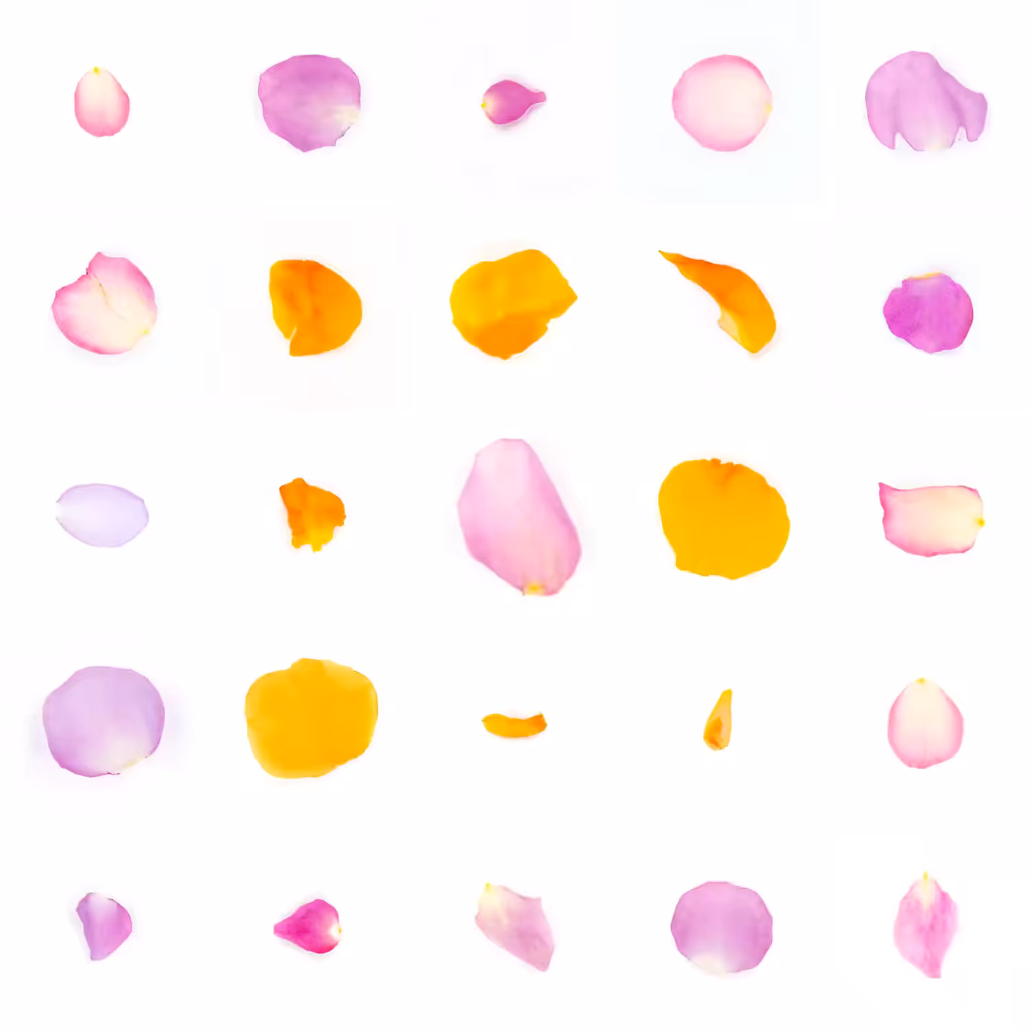 Infinite Petals 5x5#20560