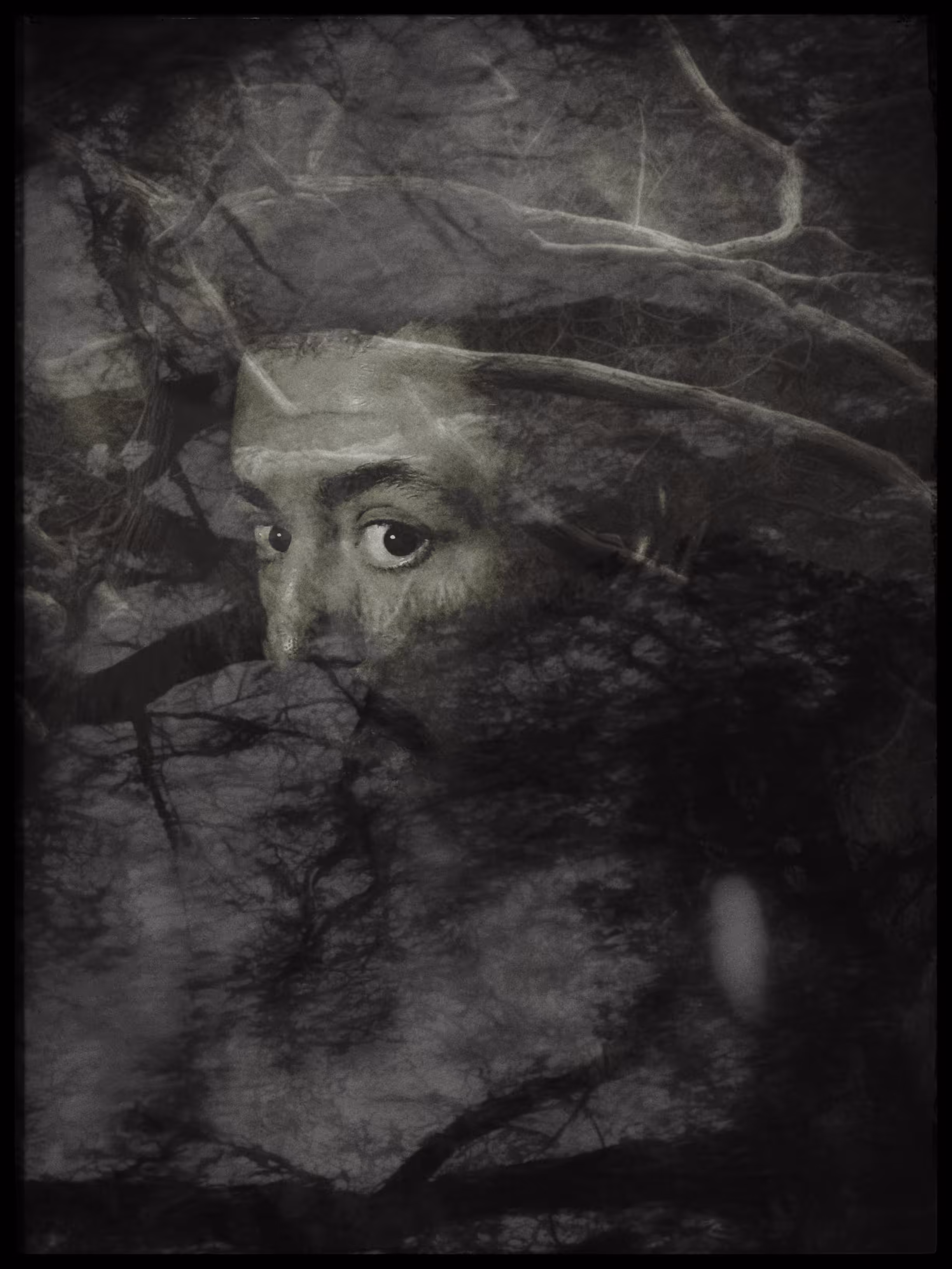 Silva quam oculus oblitus est