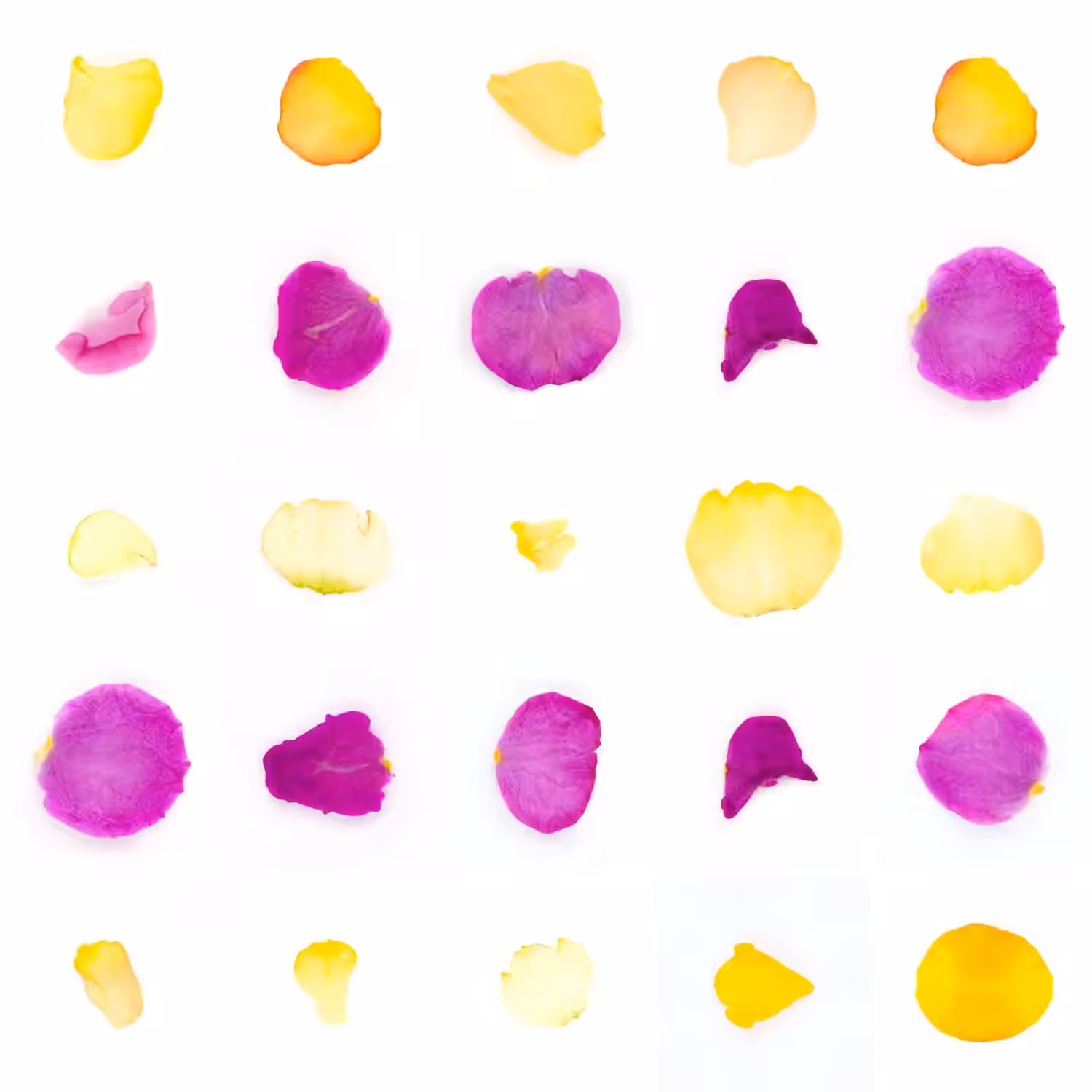 Infinite Petals 5x5#2768