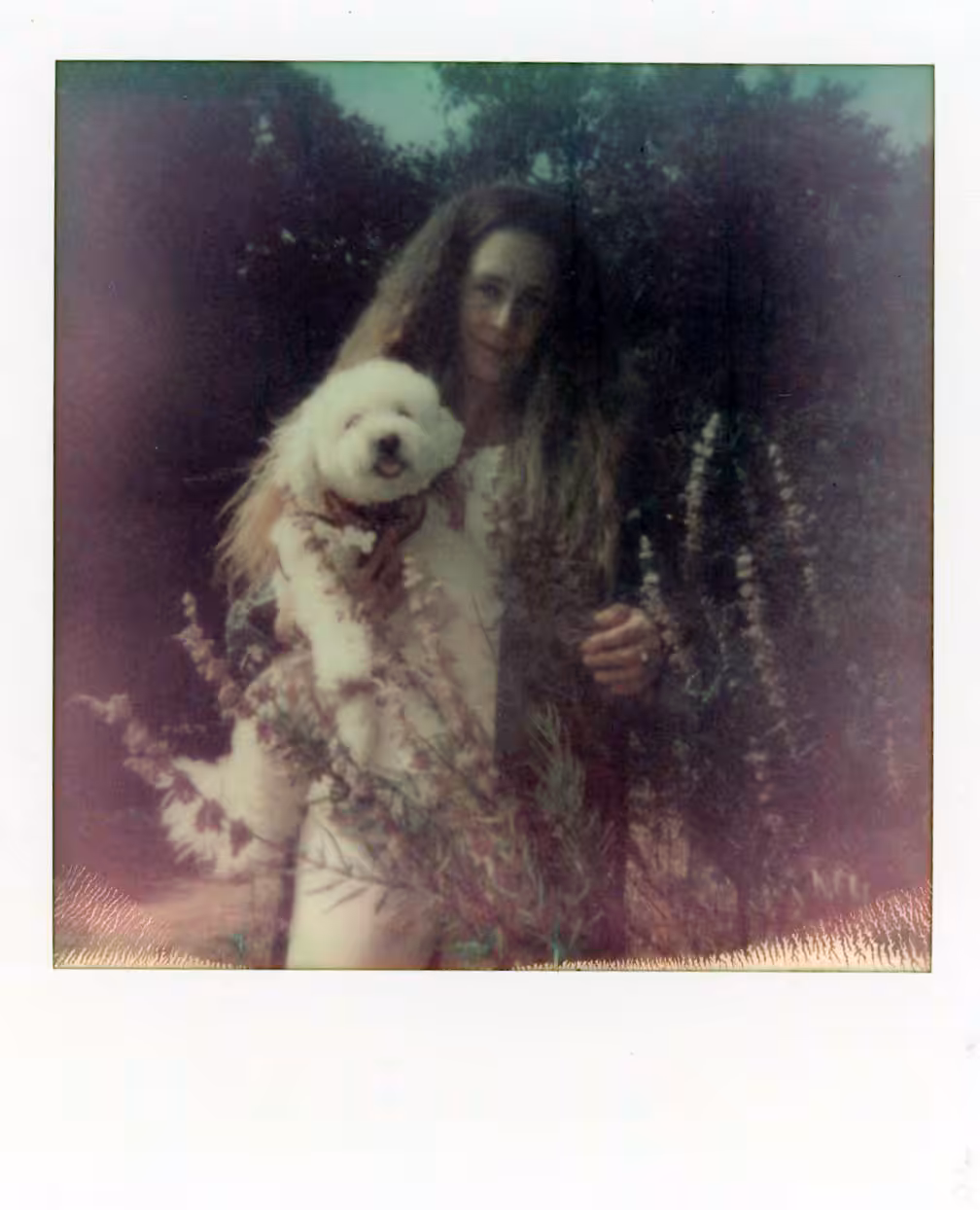 Moments of the Unknown - Polaroids: June 7th