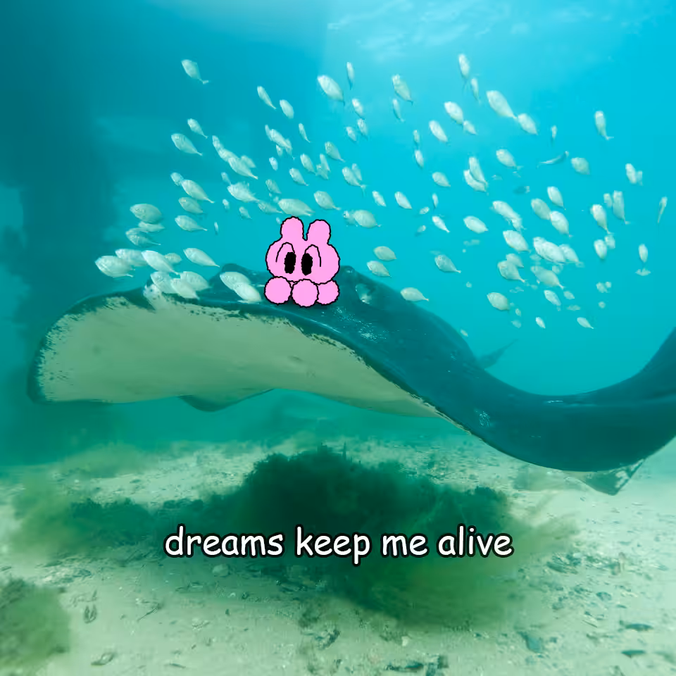 dreams