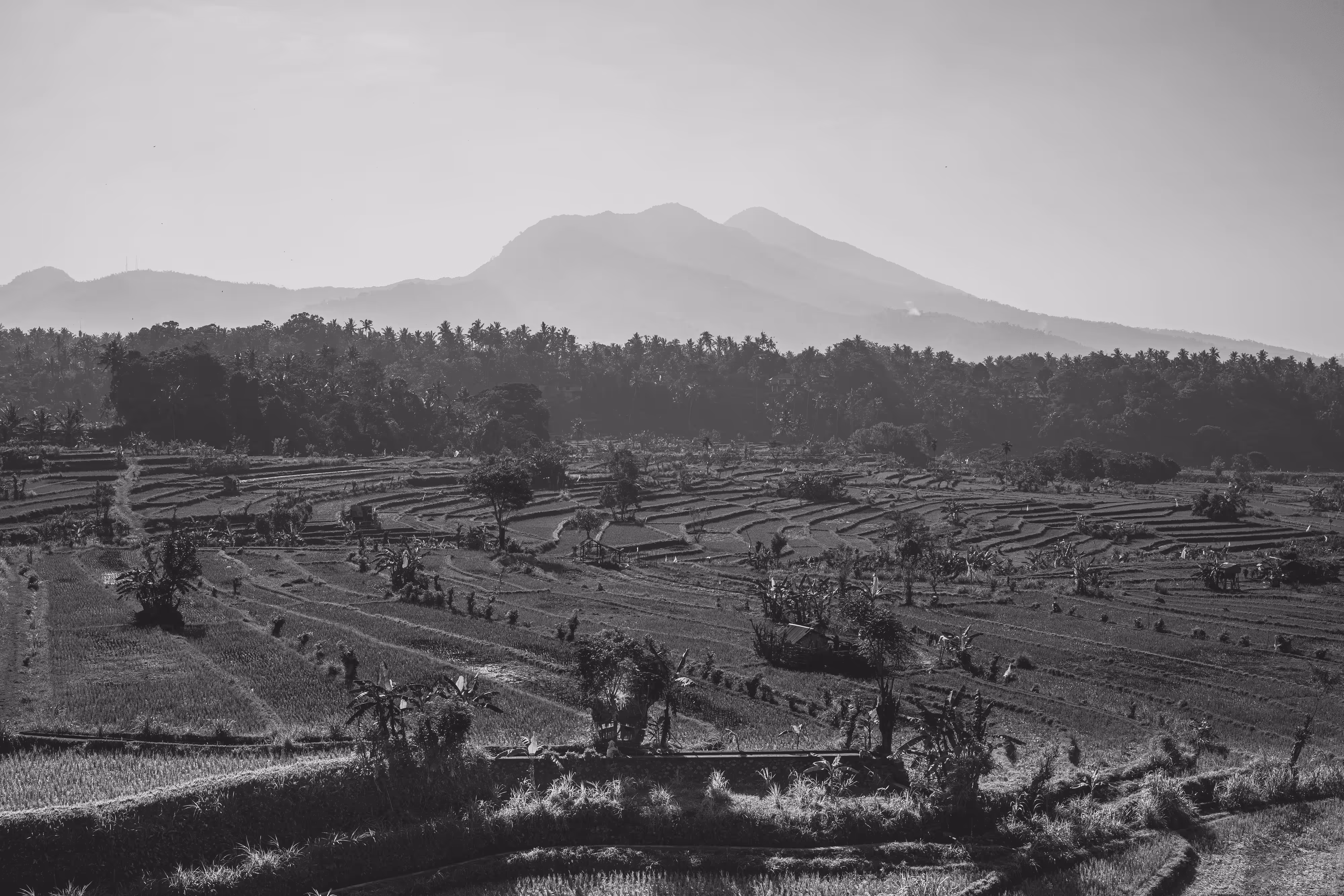 Bali in Black & White #21