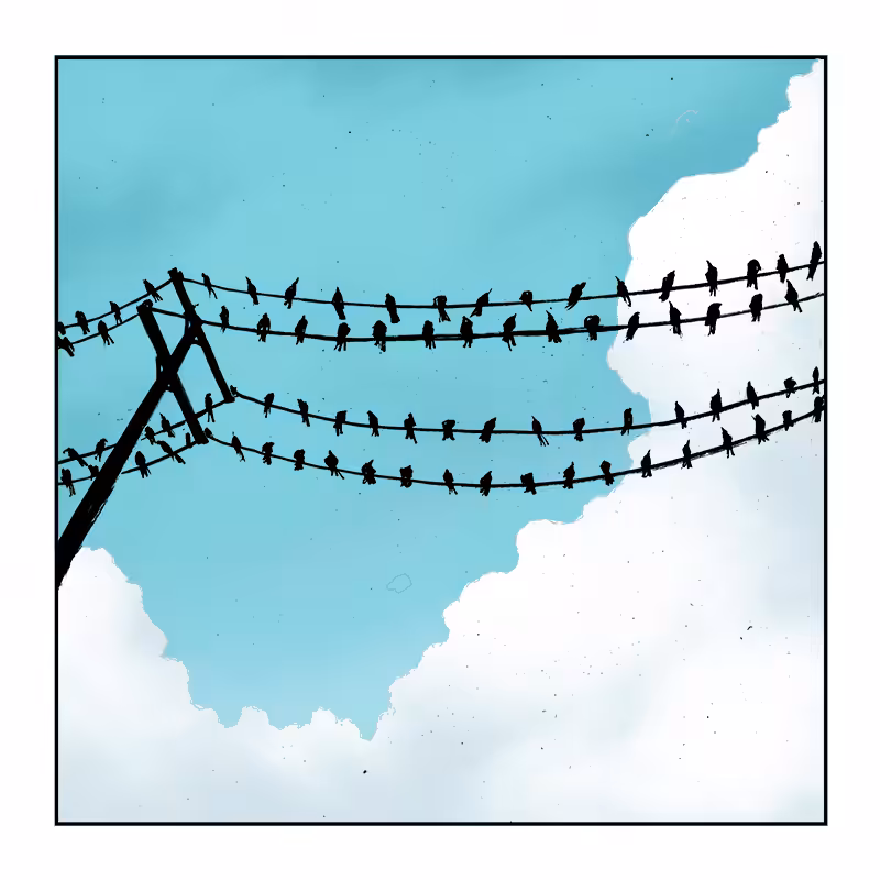BIRDS - 1