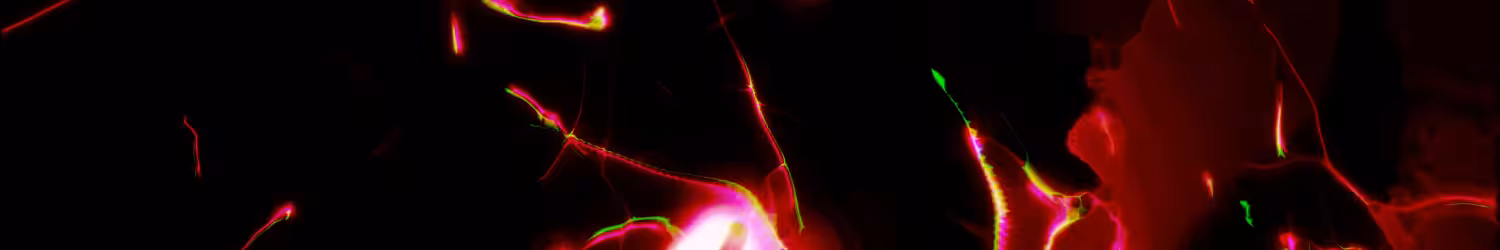 Crimson Cosmos