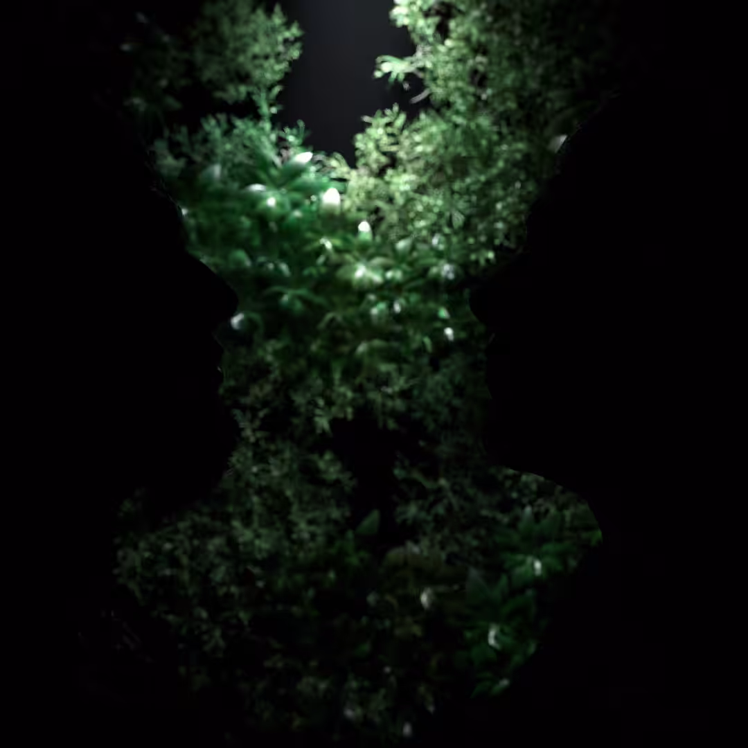 The Seed