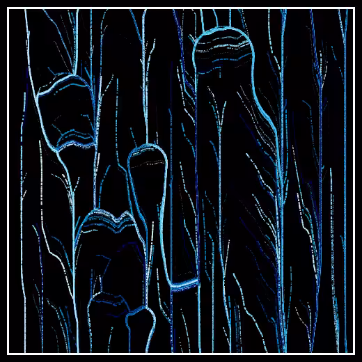 Observers' decline #60