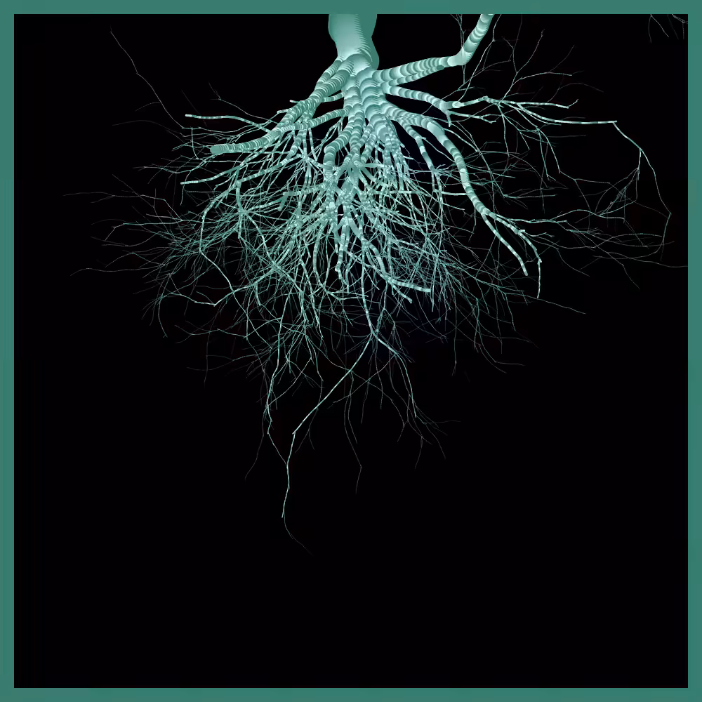Arbres suspendus #149