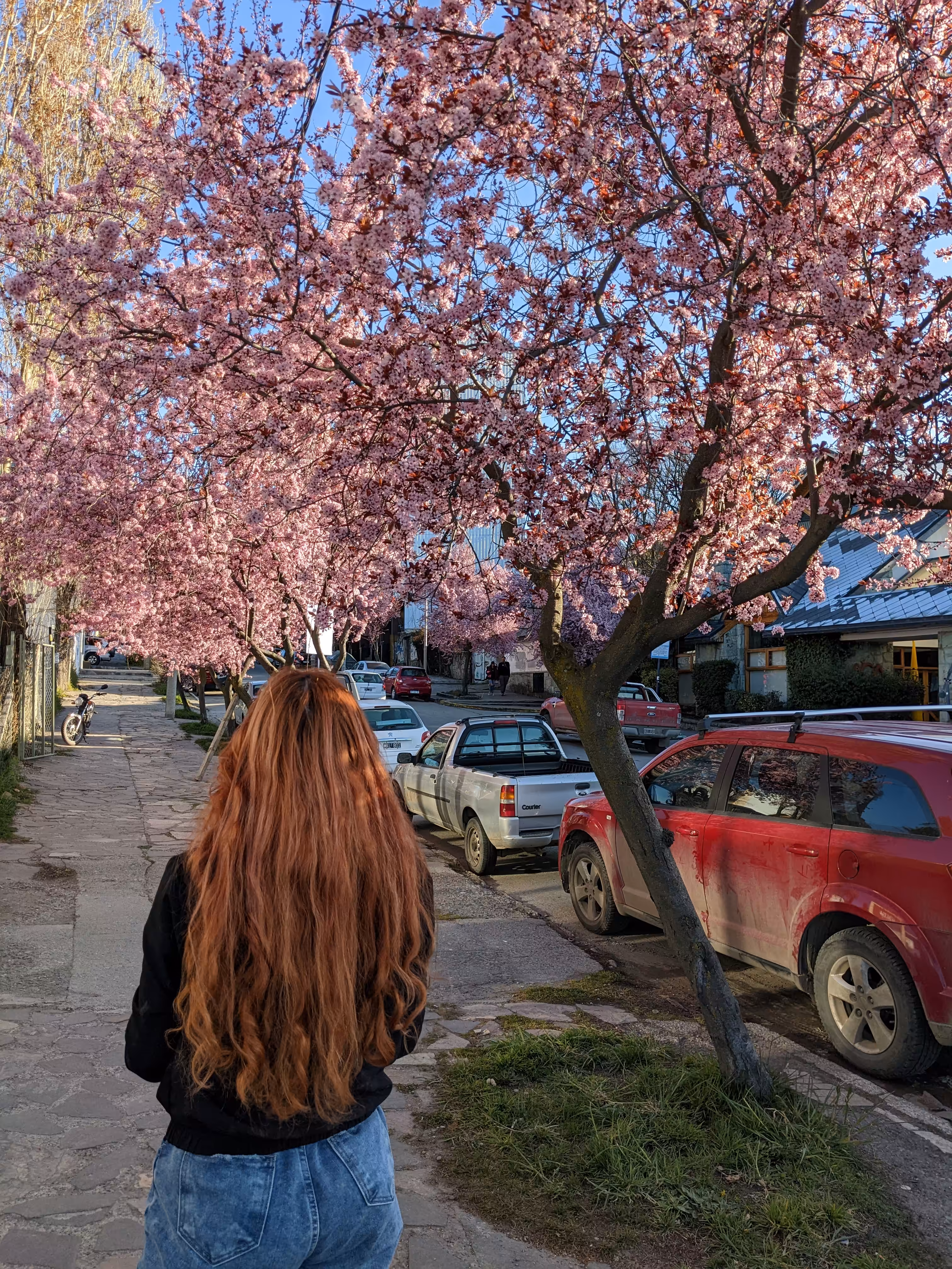 Spring Explosion
