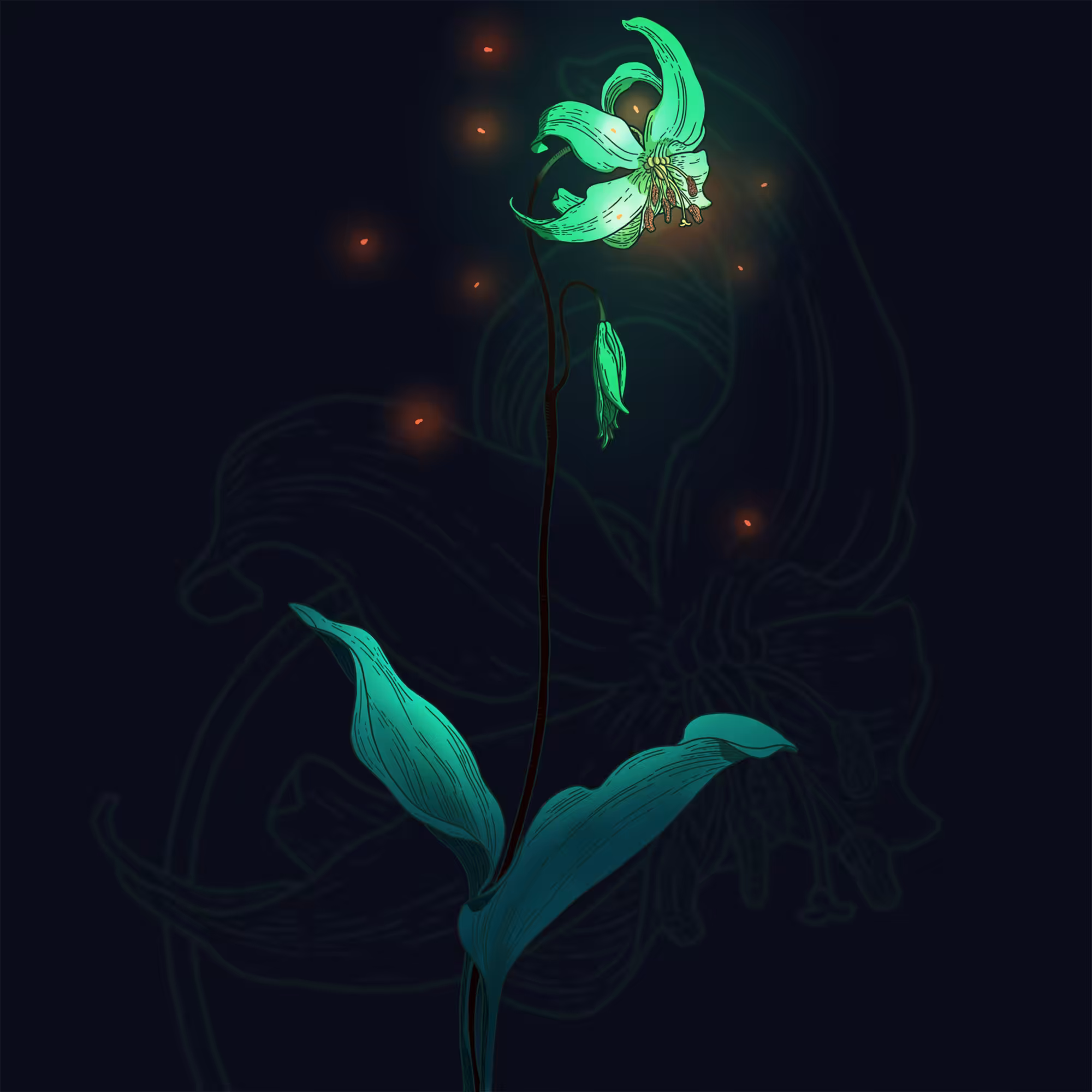 Attract