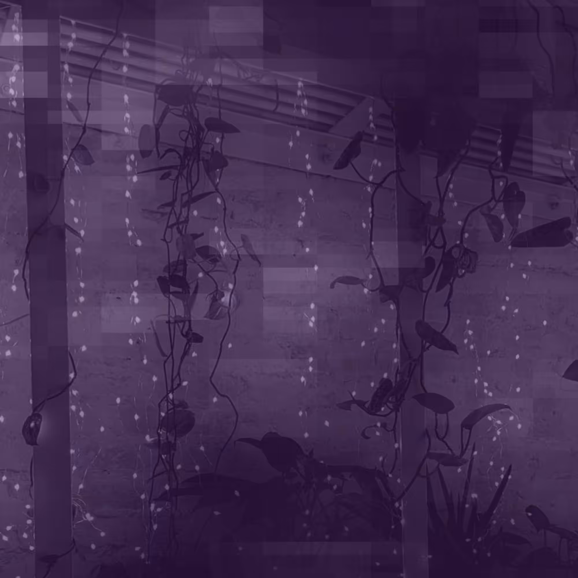 The vines inside of me