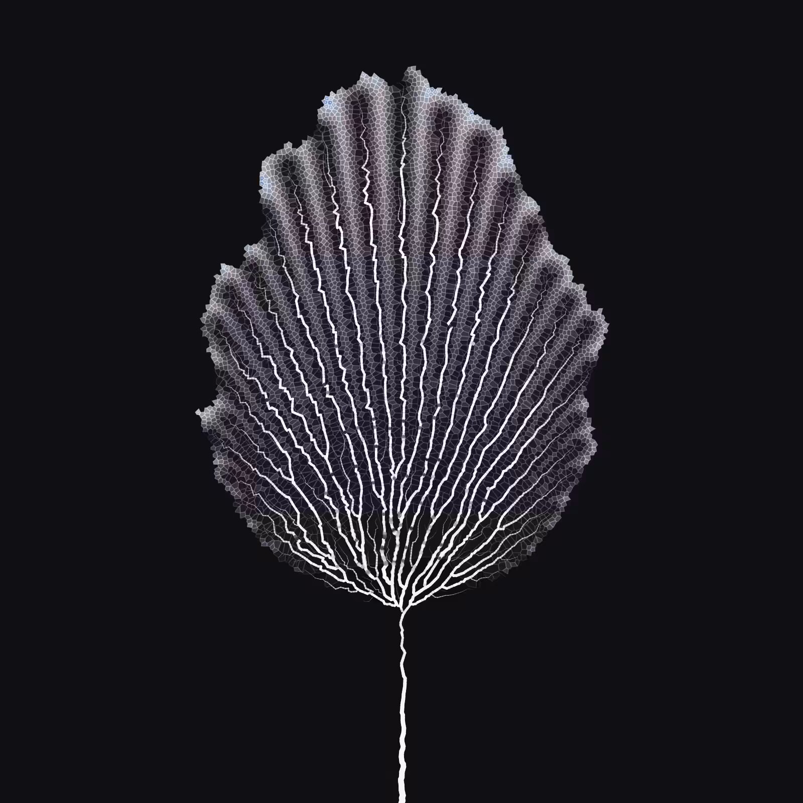 Leaf study #18