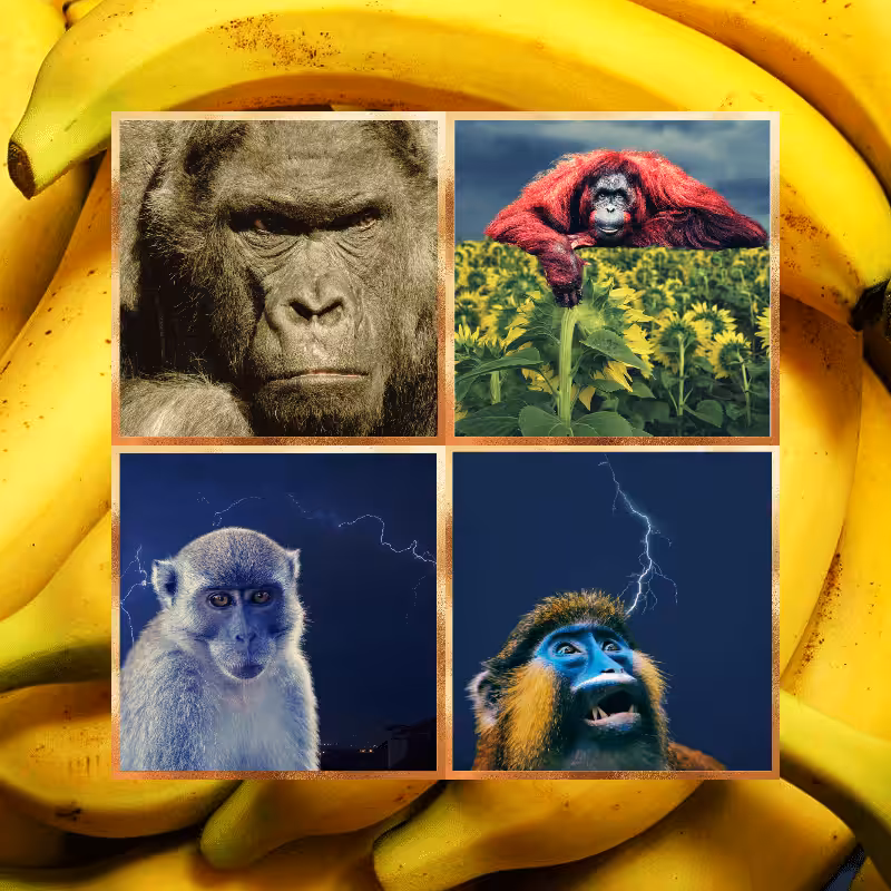 Banana legends #10