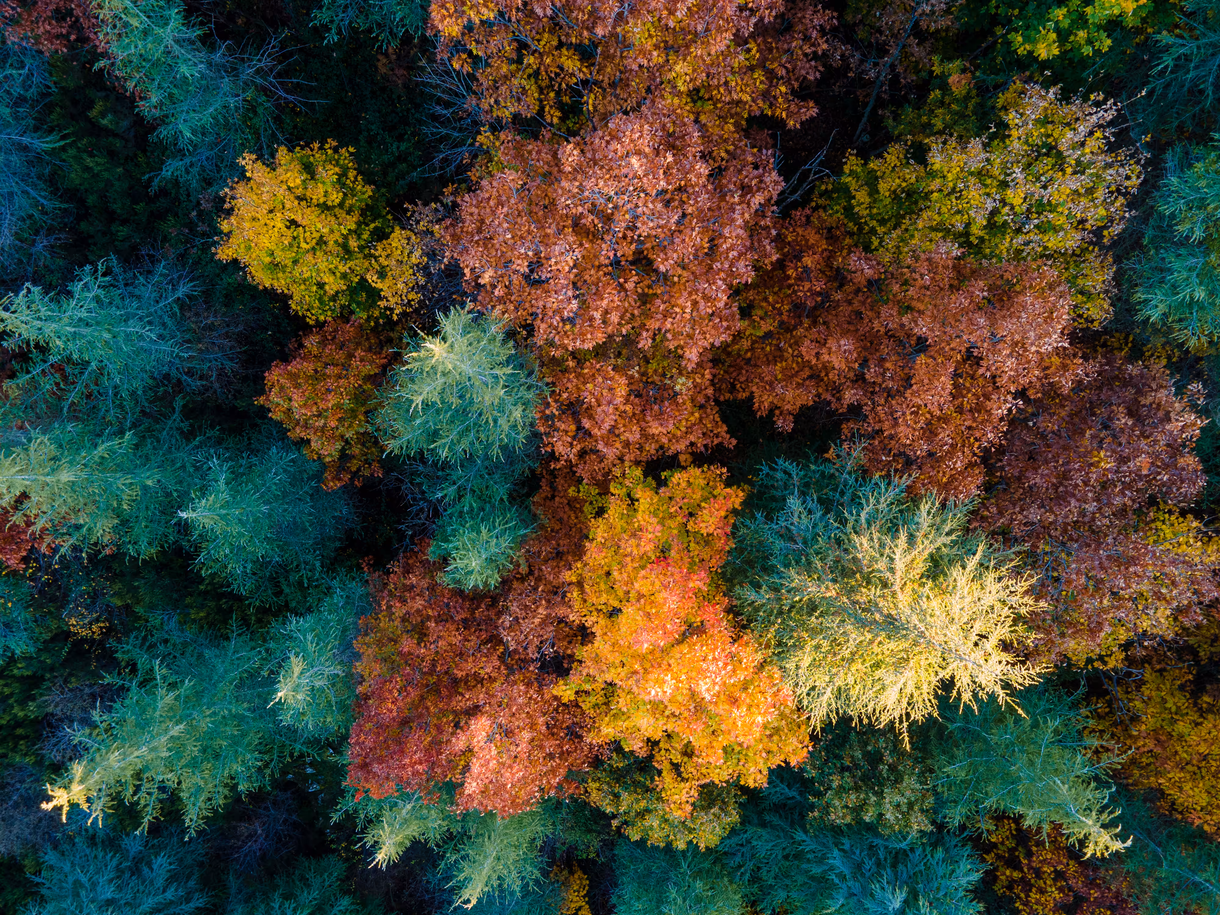 Colors of Sardinia #2