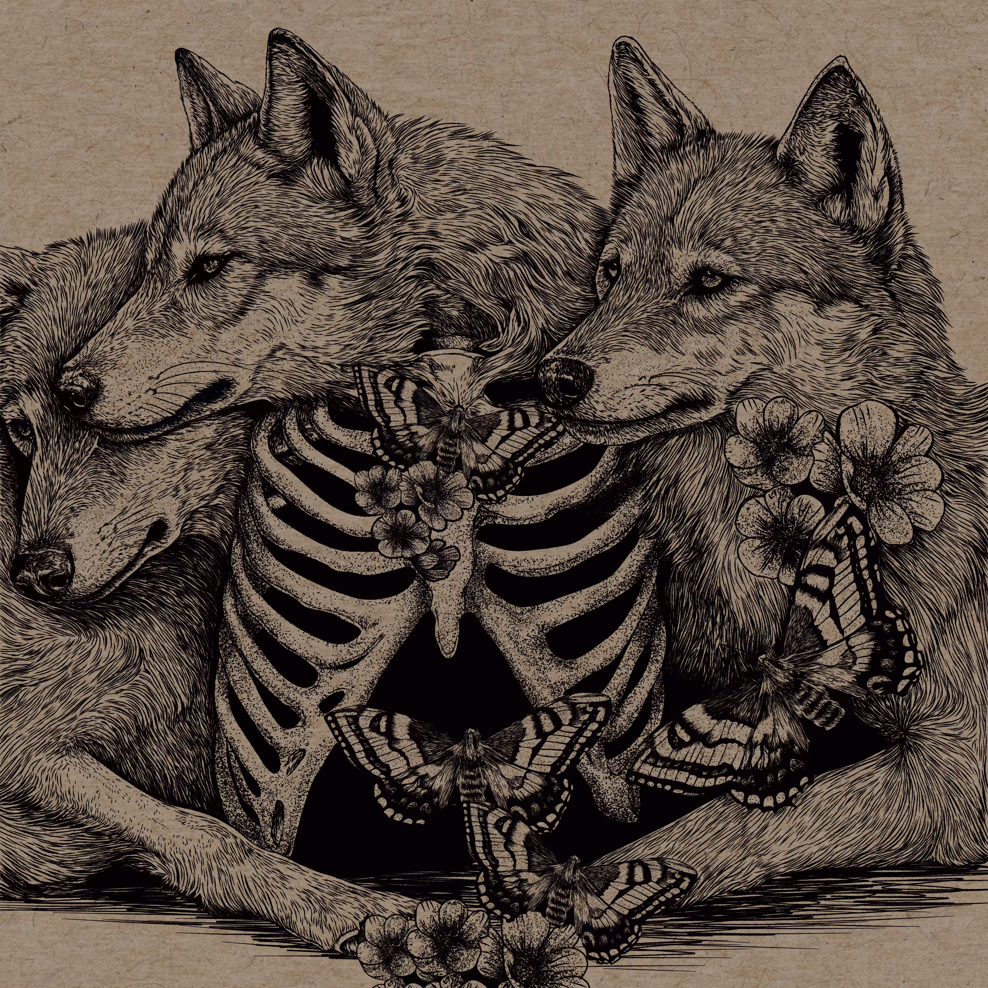 𝘮𝘰𝘪𝘳𝘢𝘴 #2