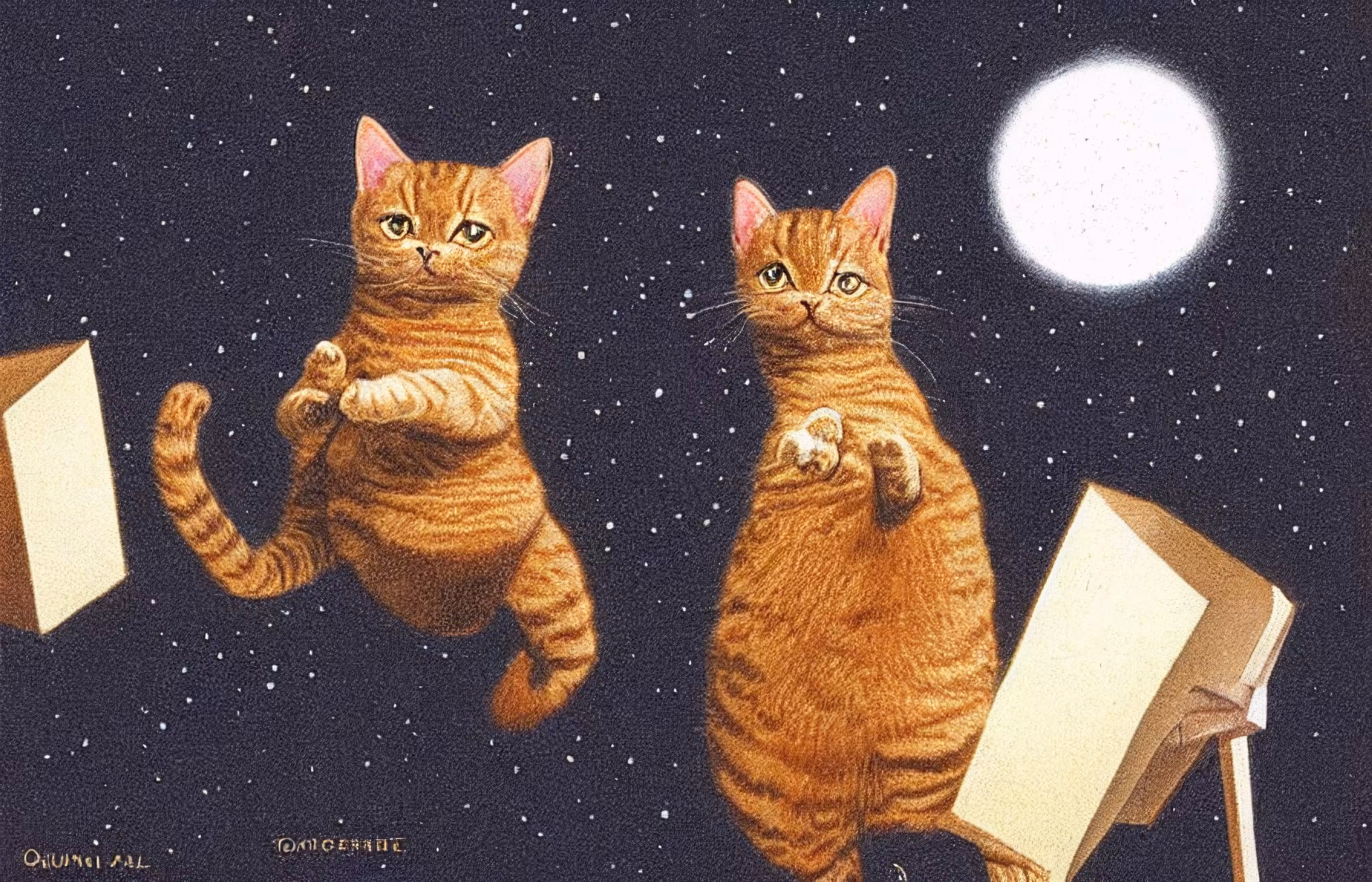Catz stories