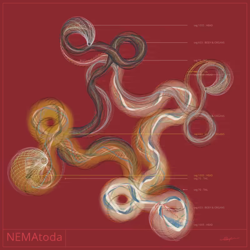 NEMA #78