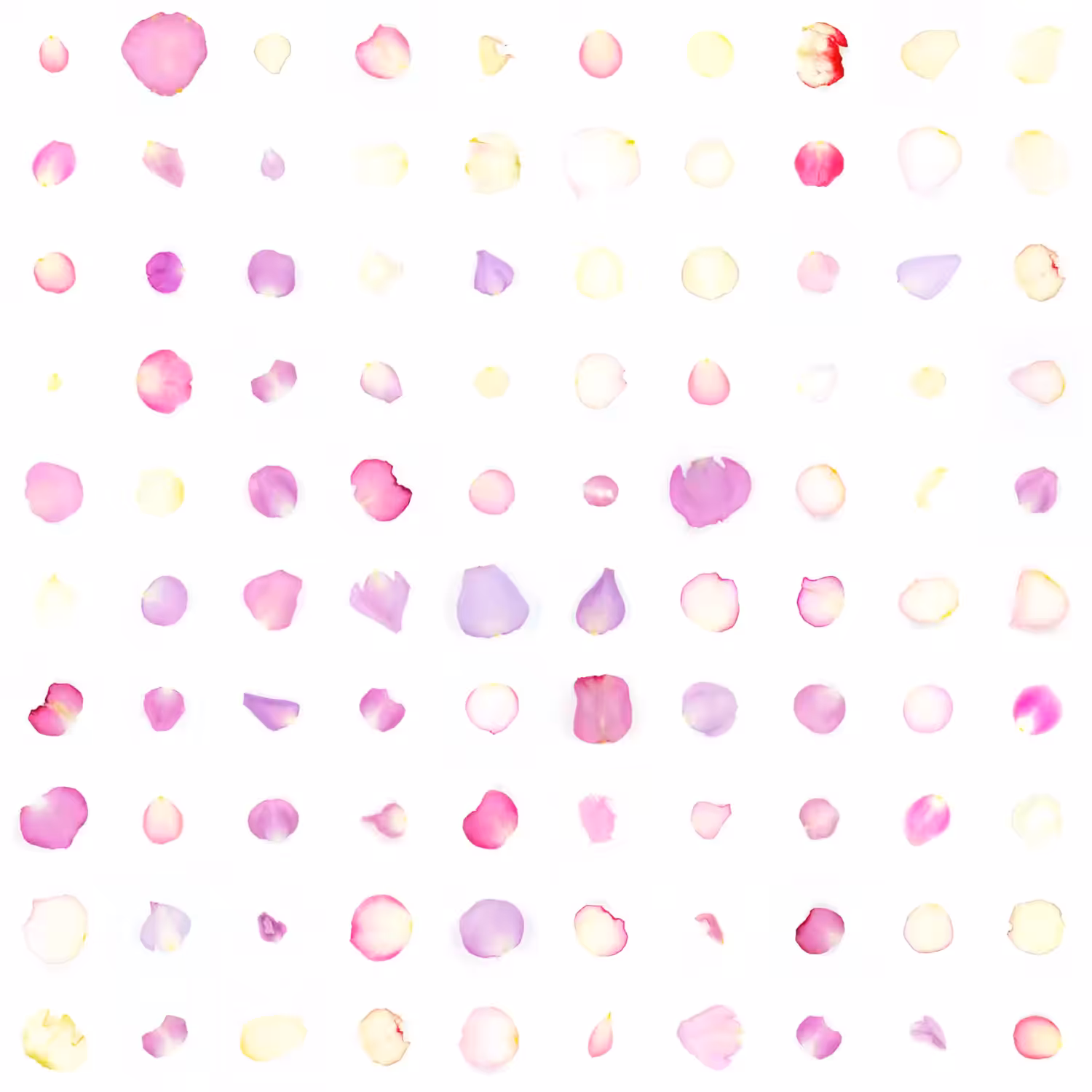 Infinite Petals 10x10#2709